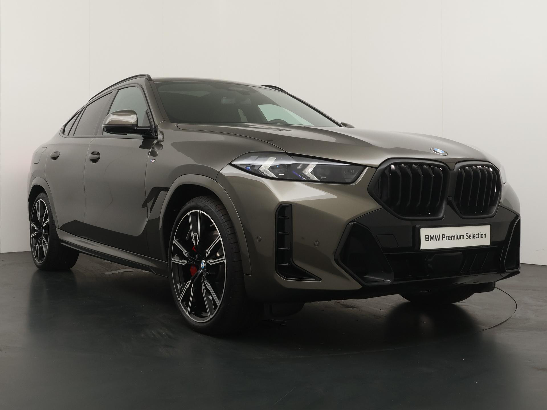 Hoofdafbeelding BMW X6