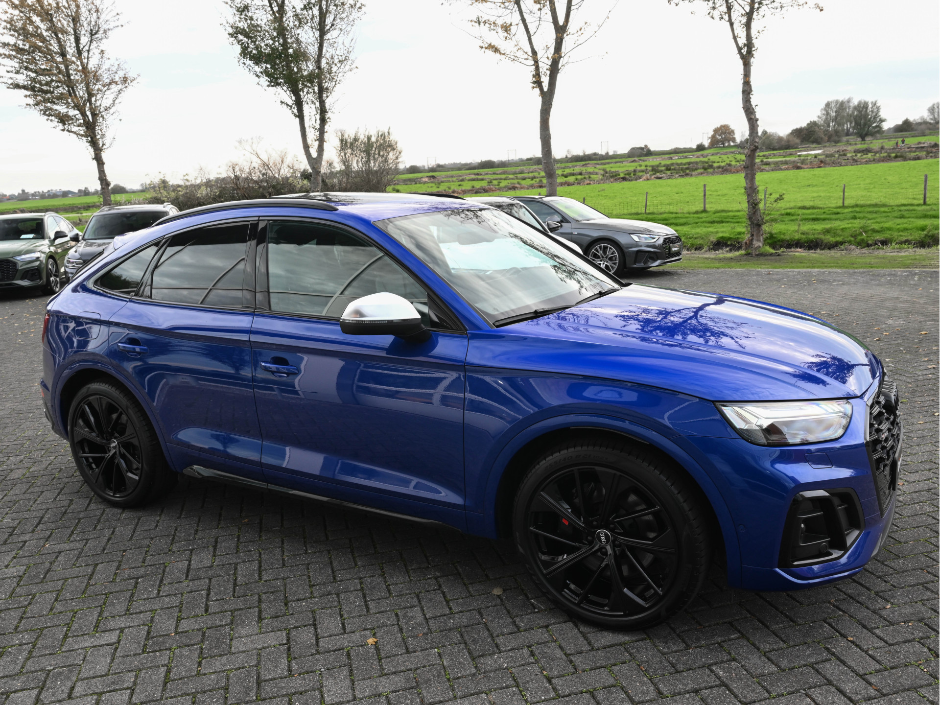 Hoofdafbeelding Audi SQ5