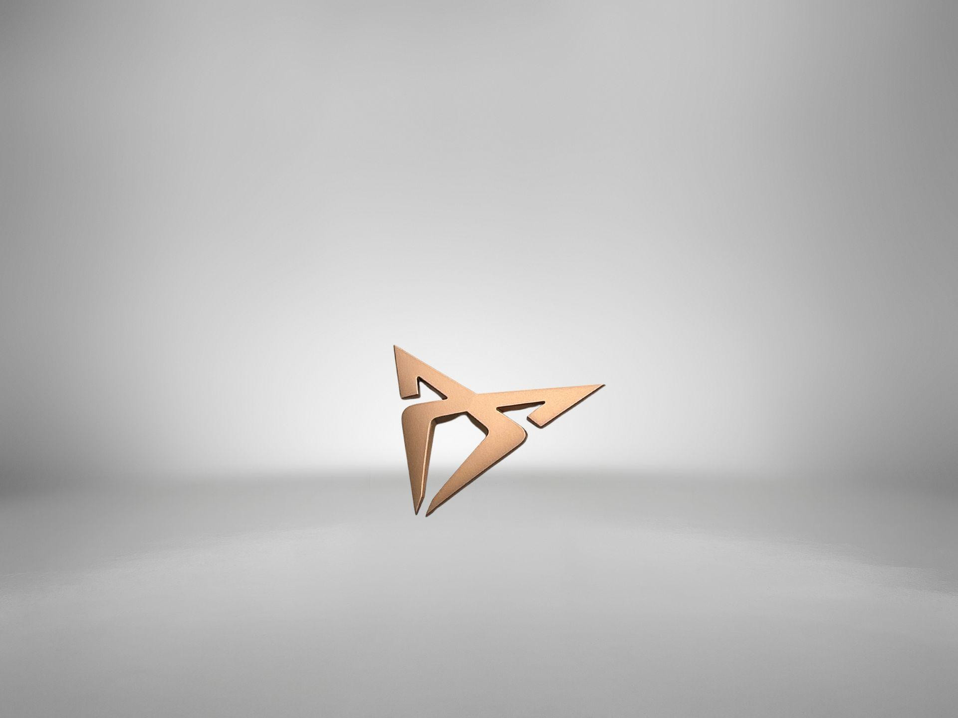 Hoofdafbeelding CUPRA Terramar