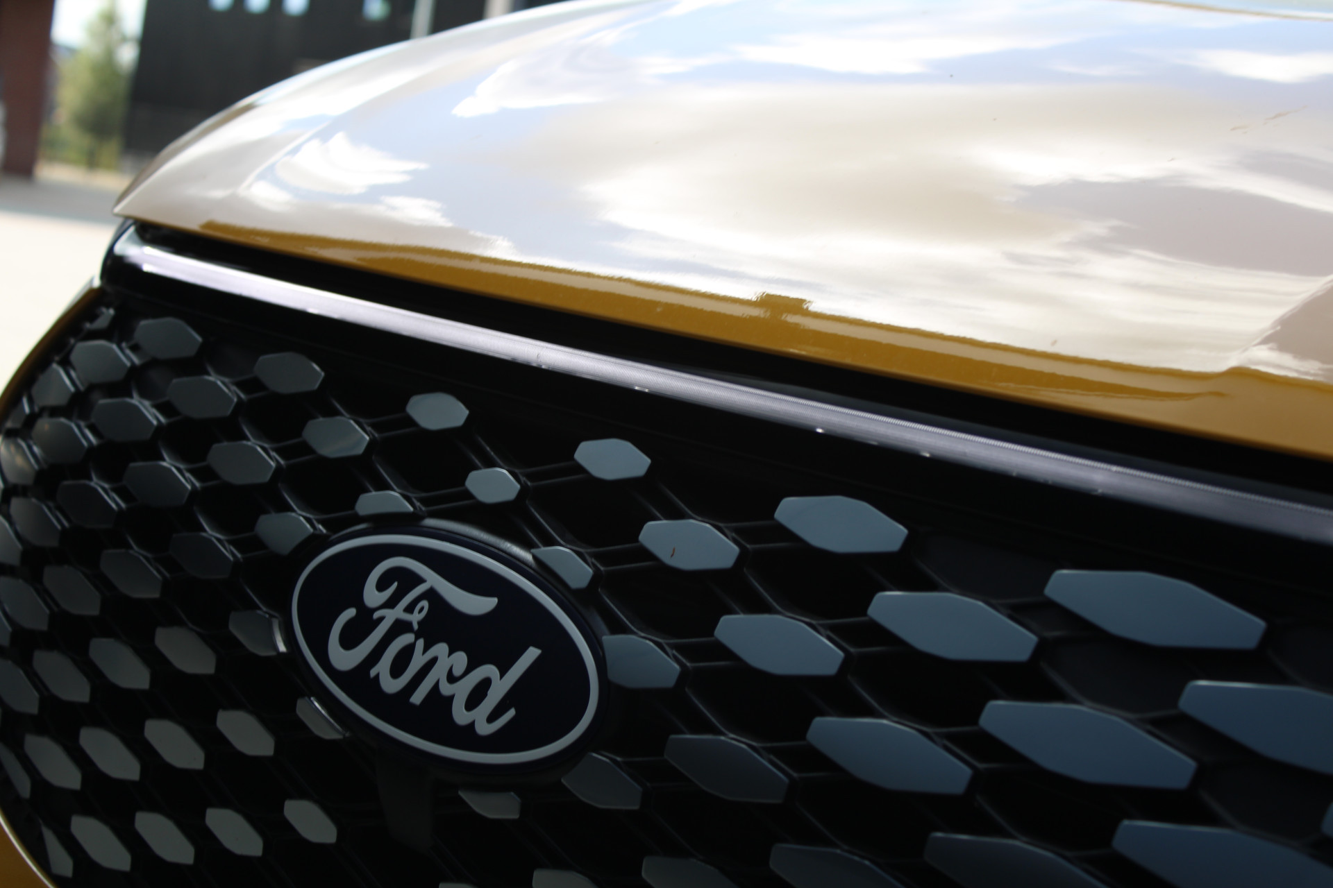 Hoofdafbeelding Ford E-Transit Custom