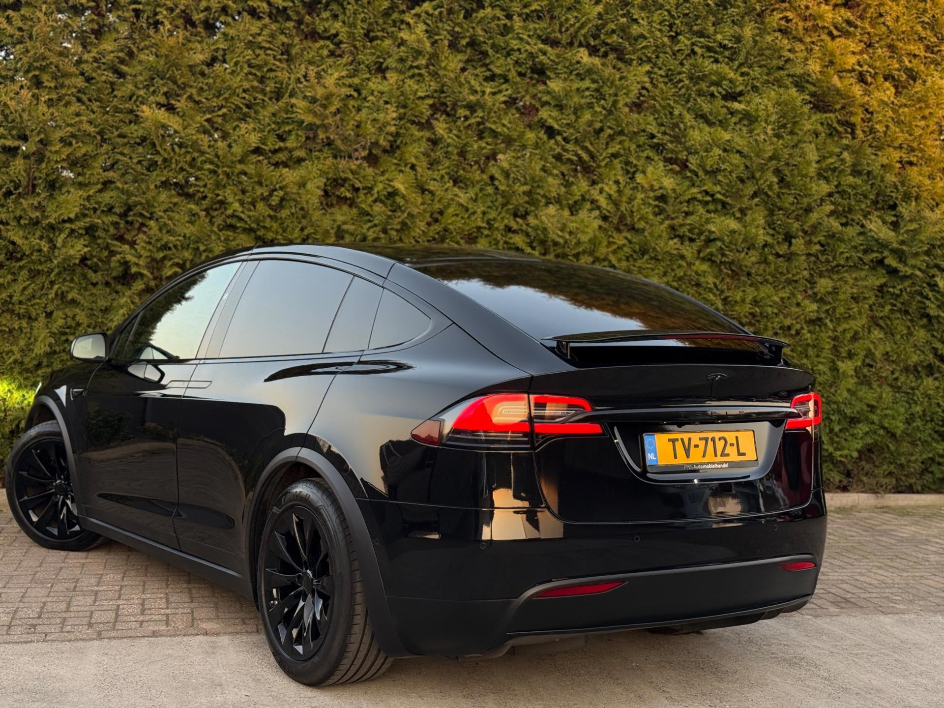 Hoofdafbeelding Tesla Model X