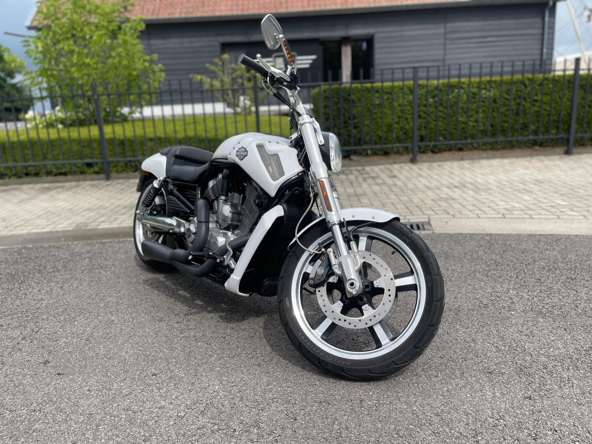 Hoofdafbeelding Harley-Davidson Chopper