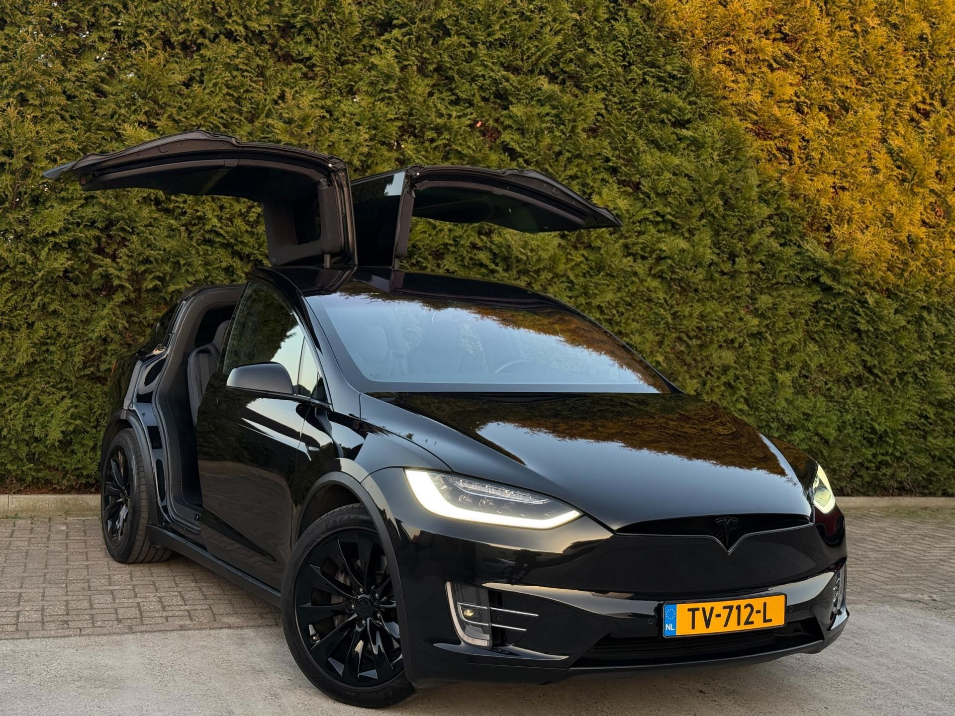 Hoofdafbeelding Tesla Model X