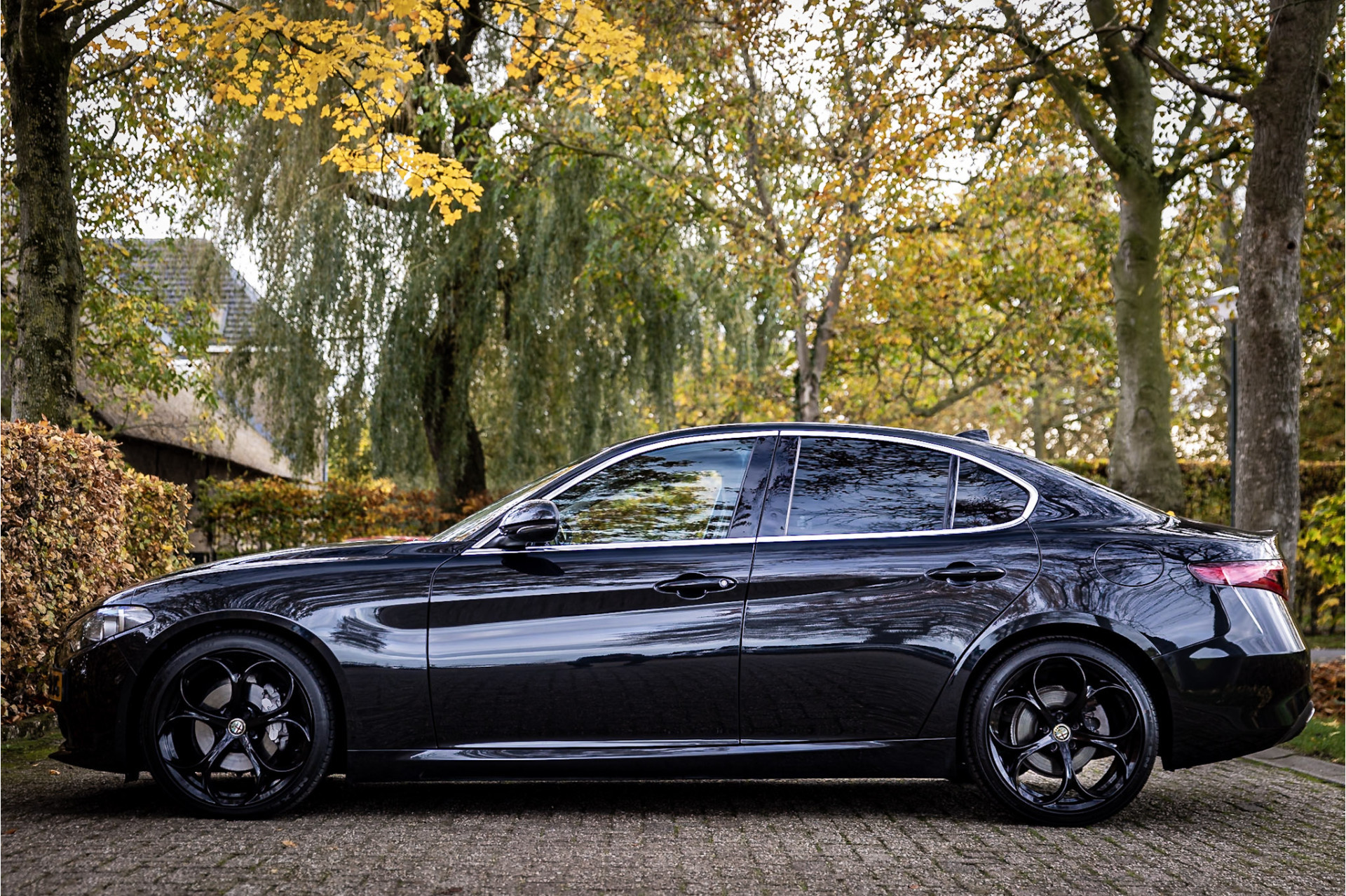 Hoofdafbeelding Alfa Romeo Giulia