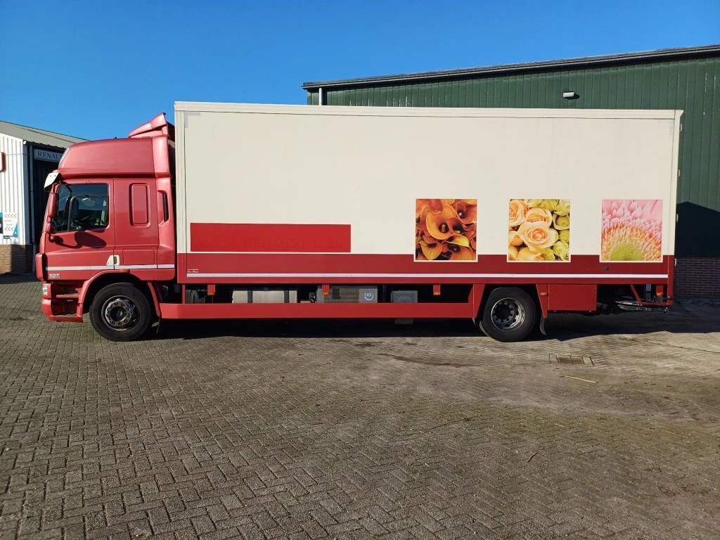 Hoofdafbeelding DAF Overige