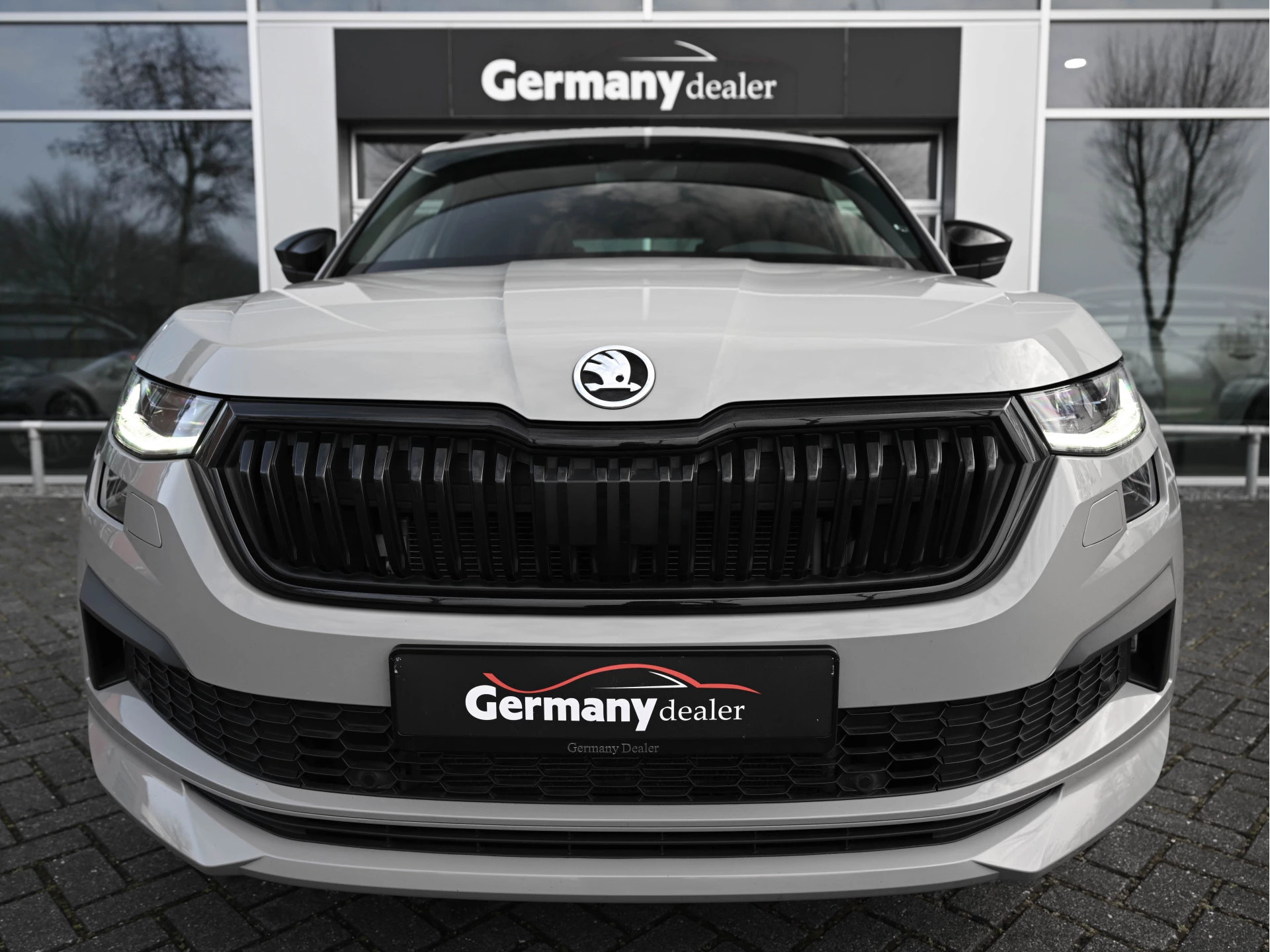 Hoofdafbeelding Škoda Kodiaq