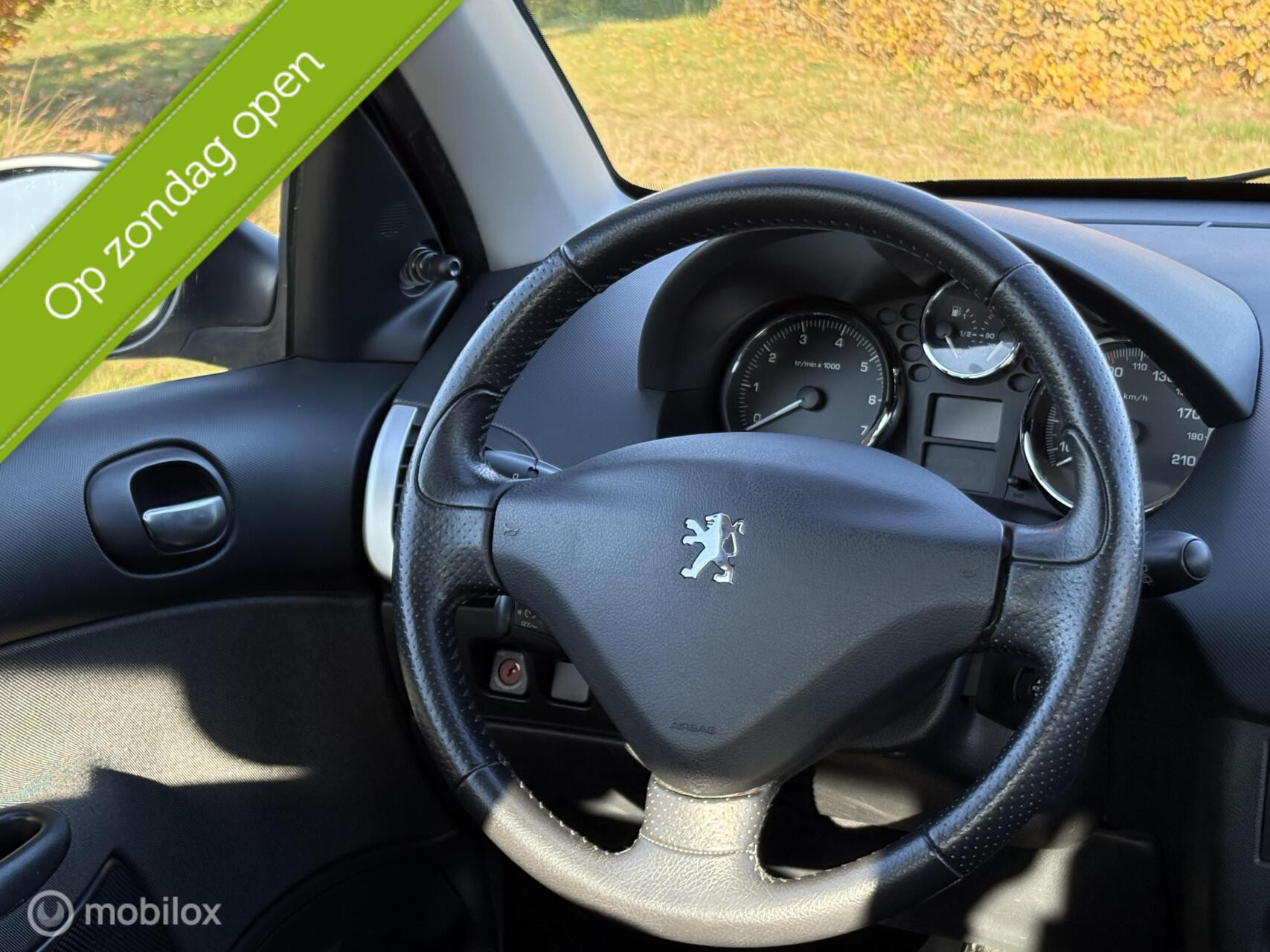 Hoofdafbeelding Peugeot 206