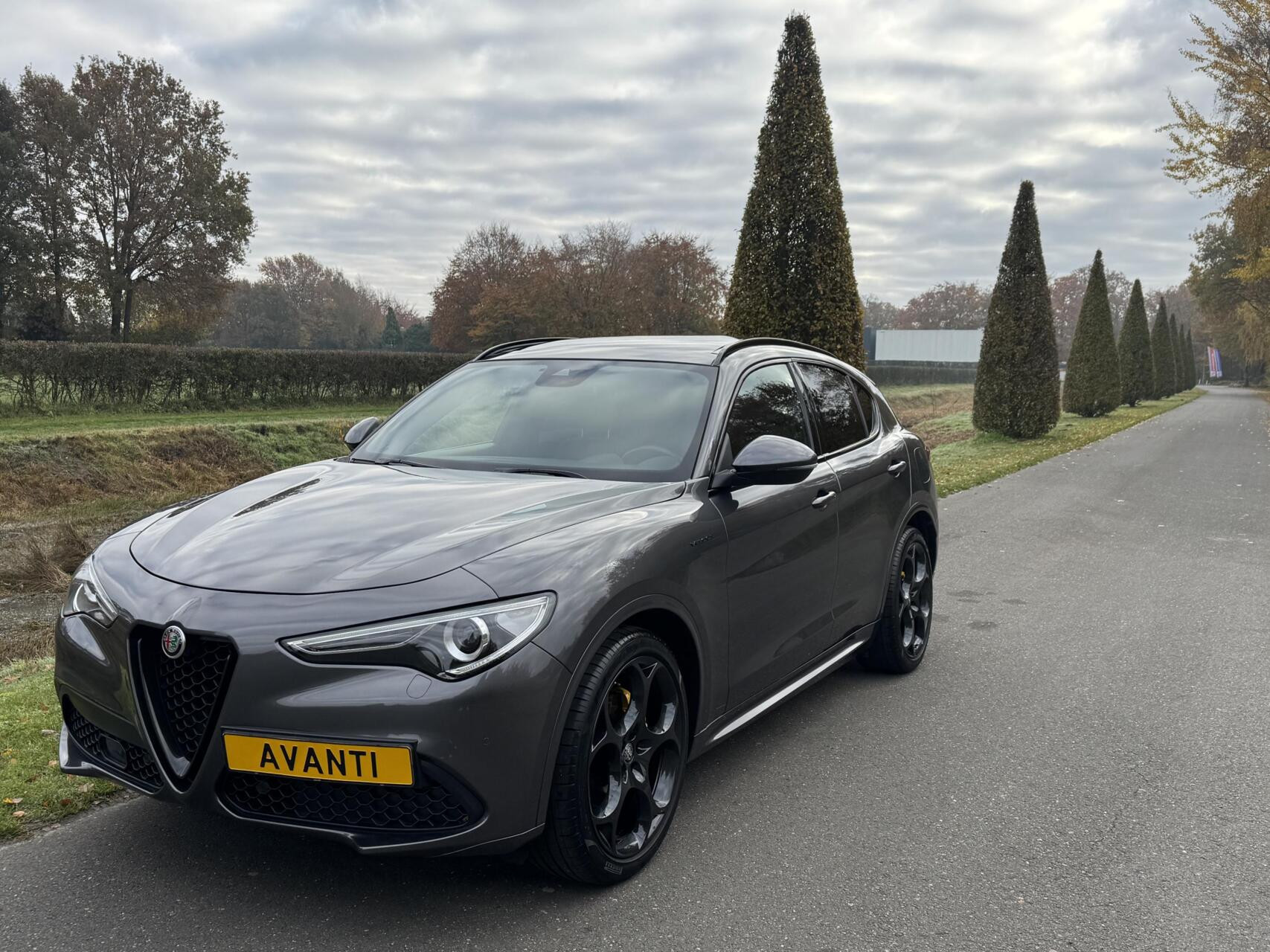Hoofdafbeelding Alfa Romeo Stelvio
