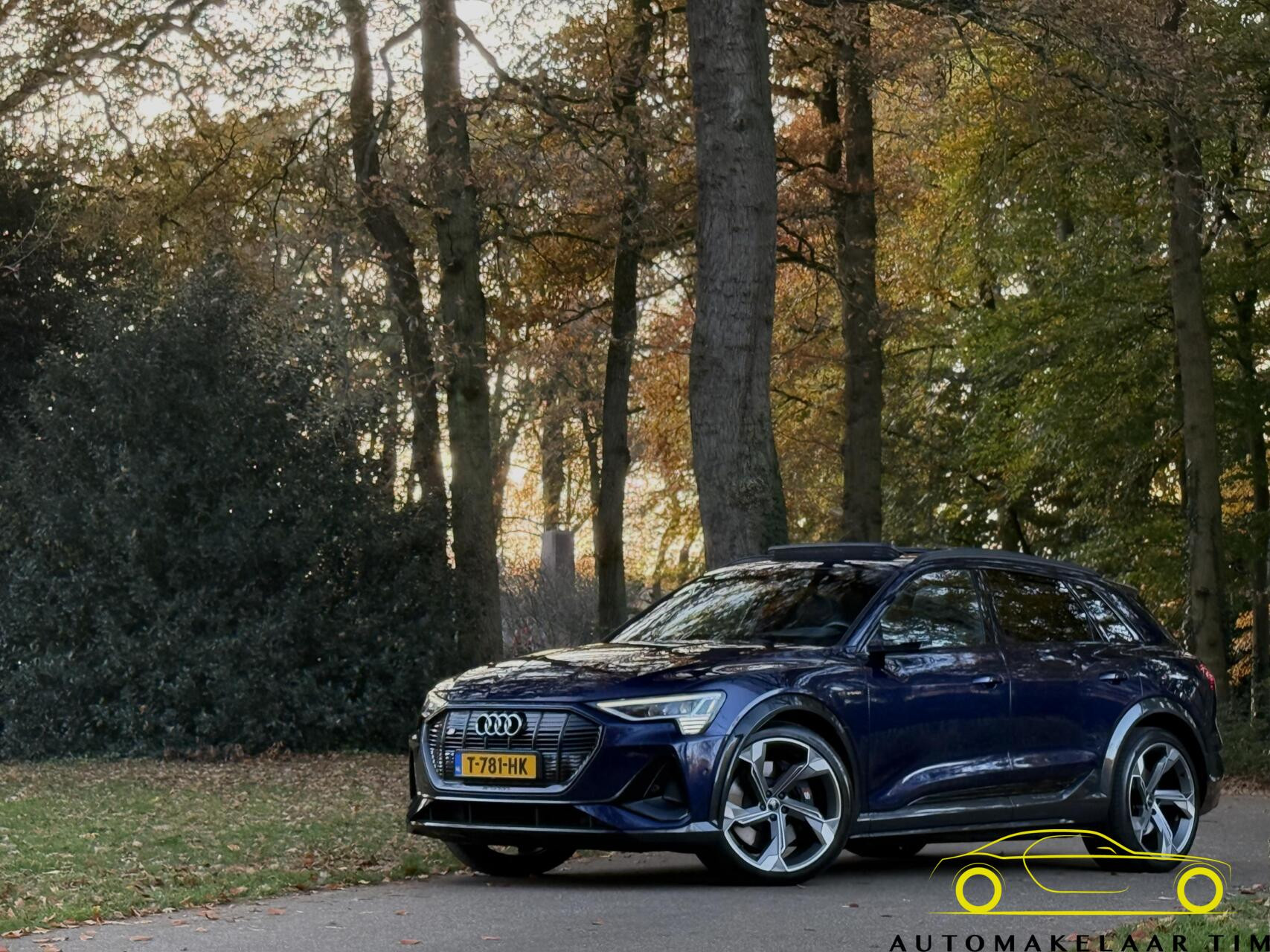 Hoofdafbeelding Audi e-tron