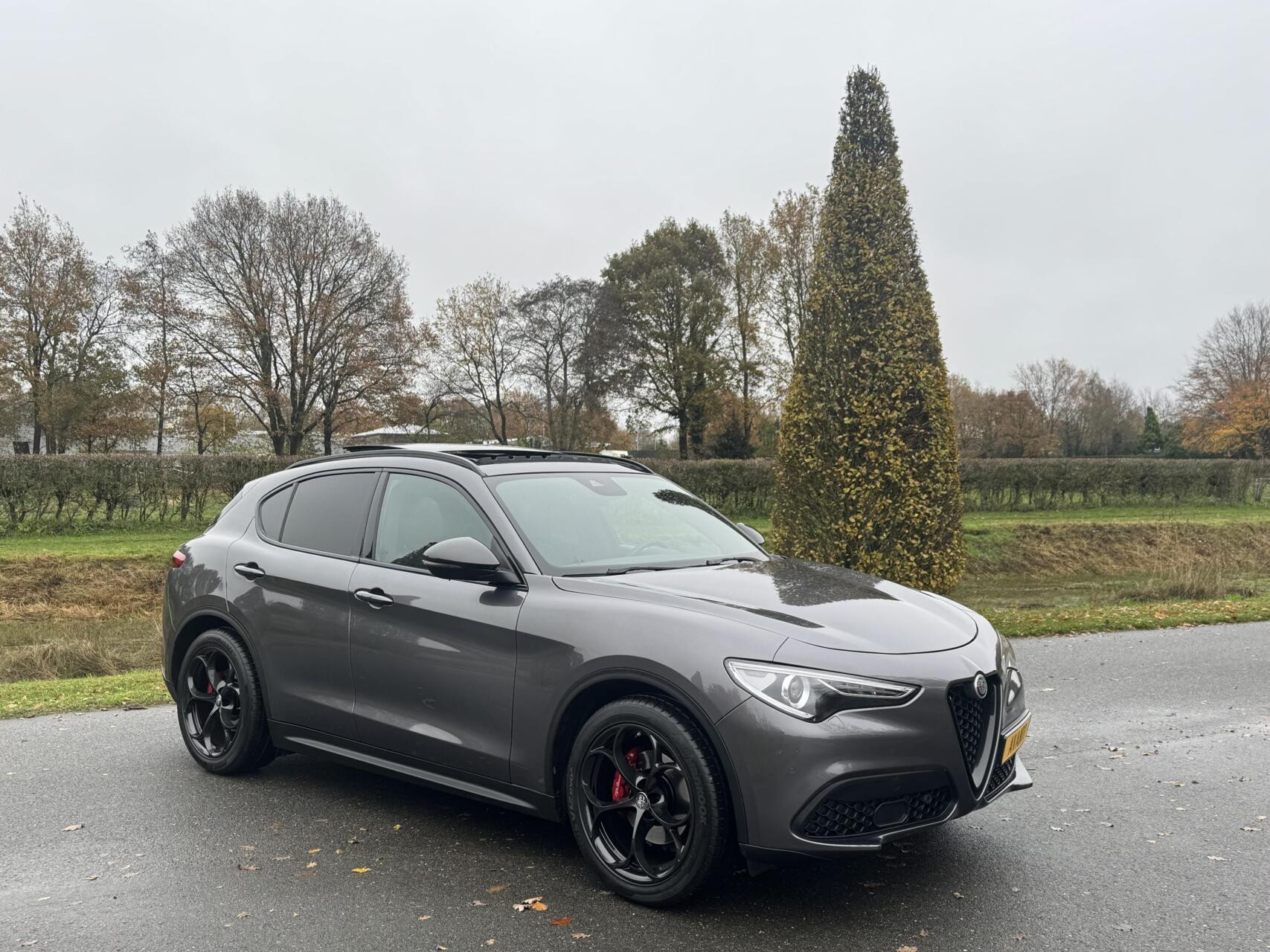 Hoofdafbeelding Alfa Romeo Stelvio
