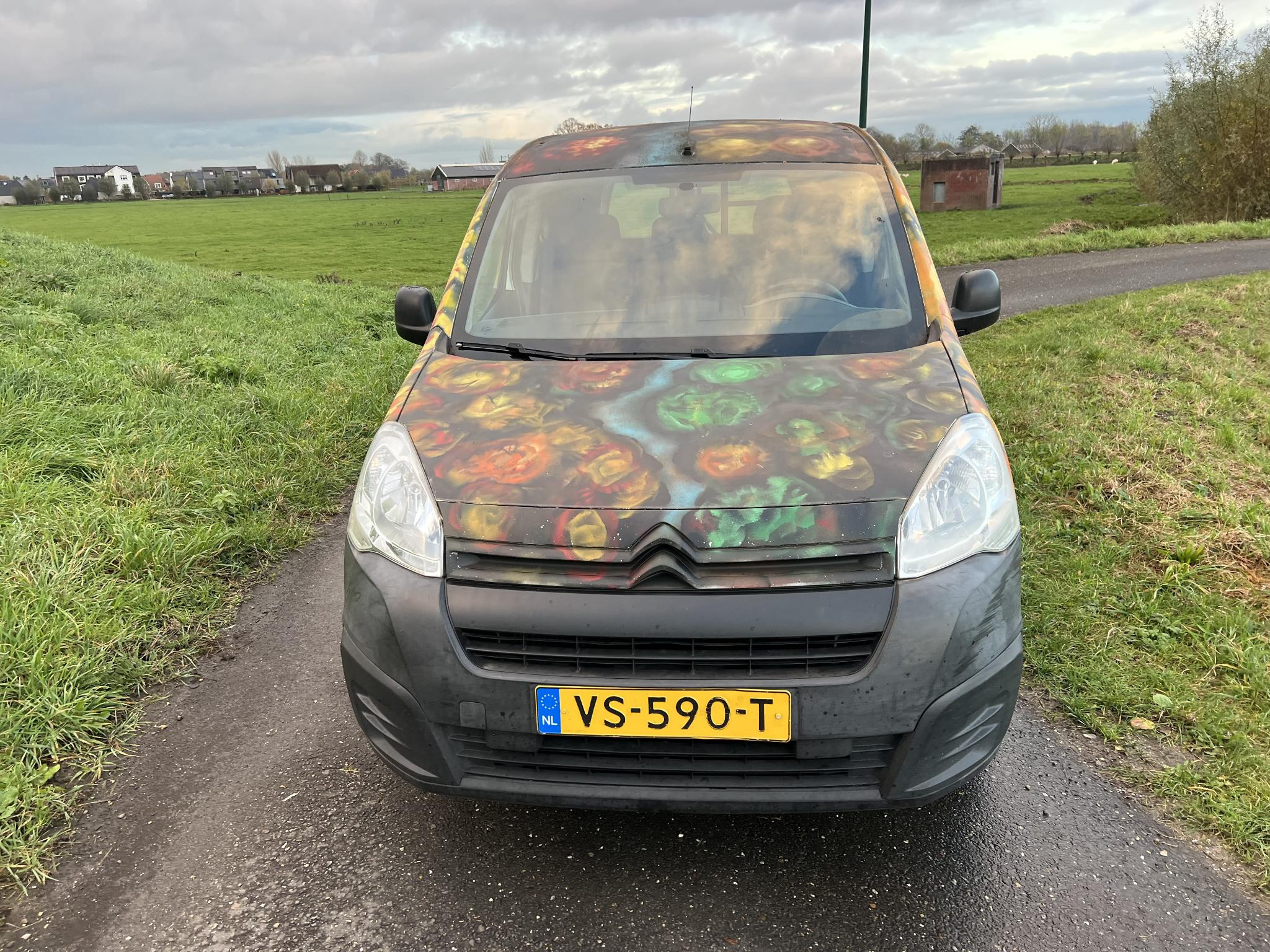 Hoofdafbeelding Citroën Berlingo
