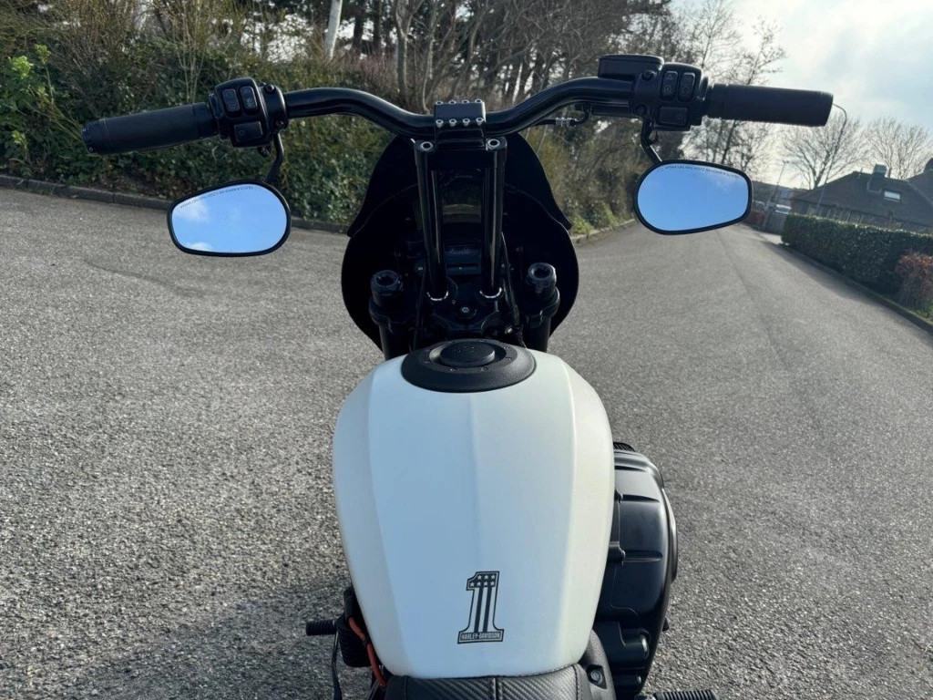 Hoofdafbeelding Harley-Davidson Softail