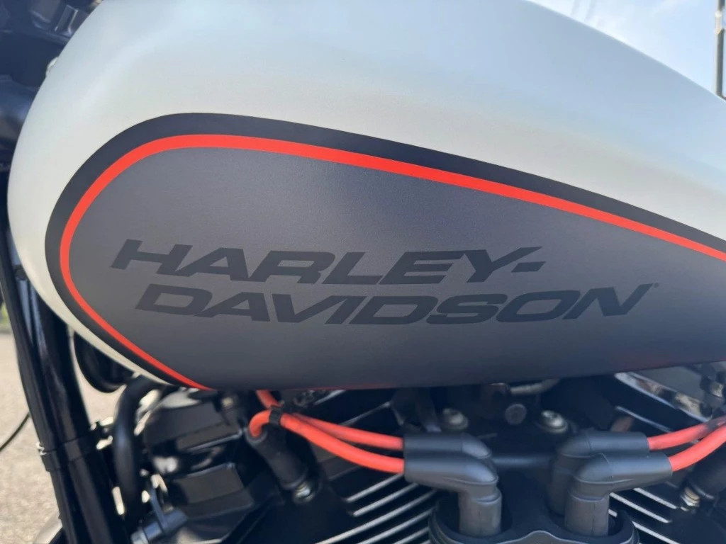 Hoofdafbeelding Harley-Davidson Softail