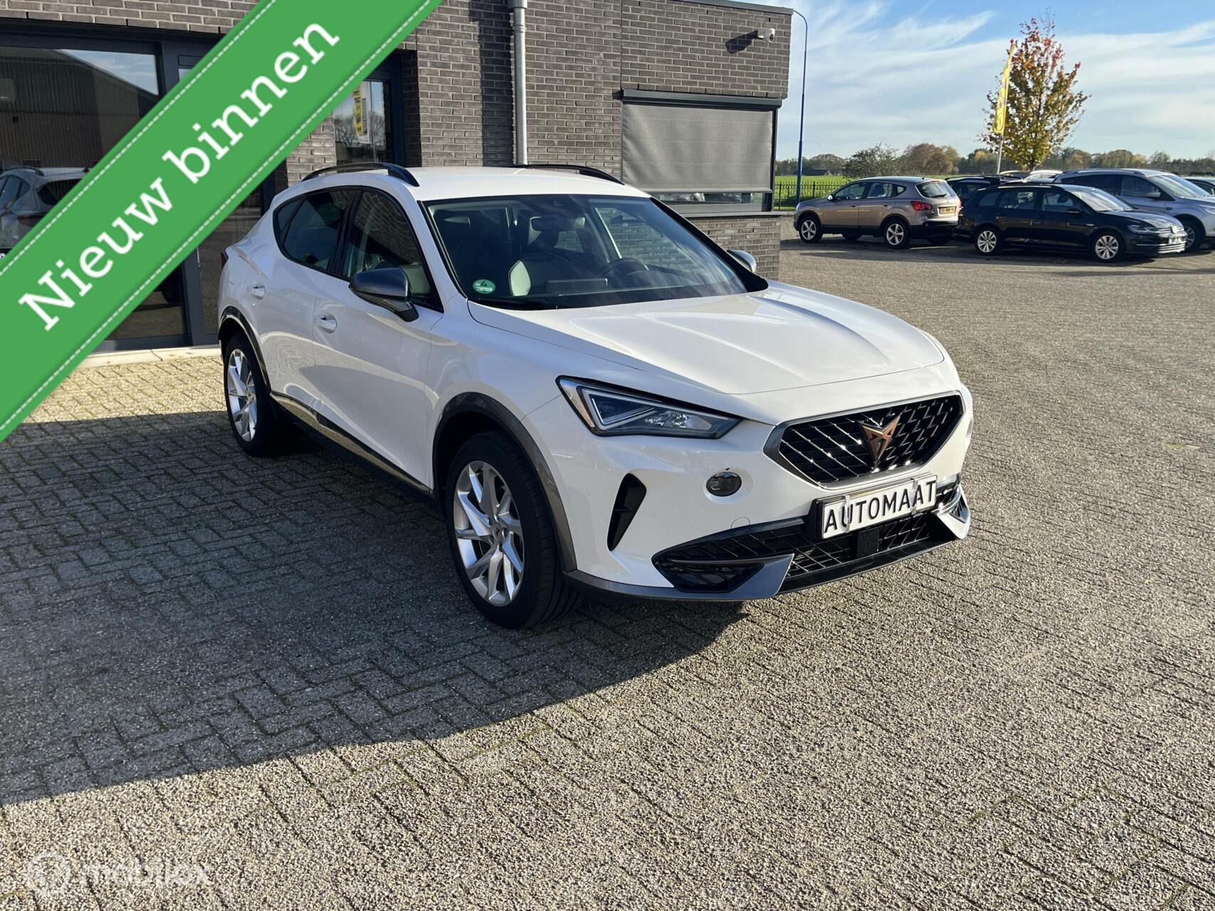 Hoofdafbeelding CUPRA Formentor