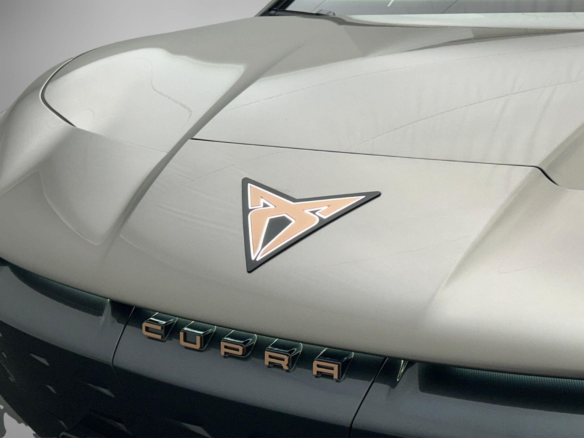 Hoofdafbeelding CUPRA Tavascan