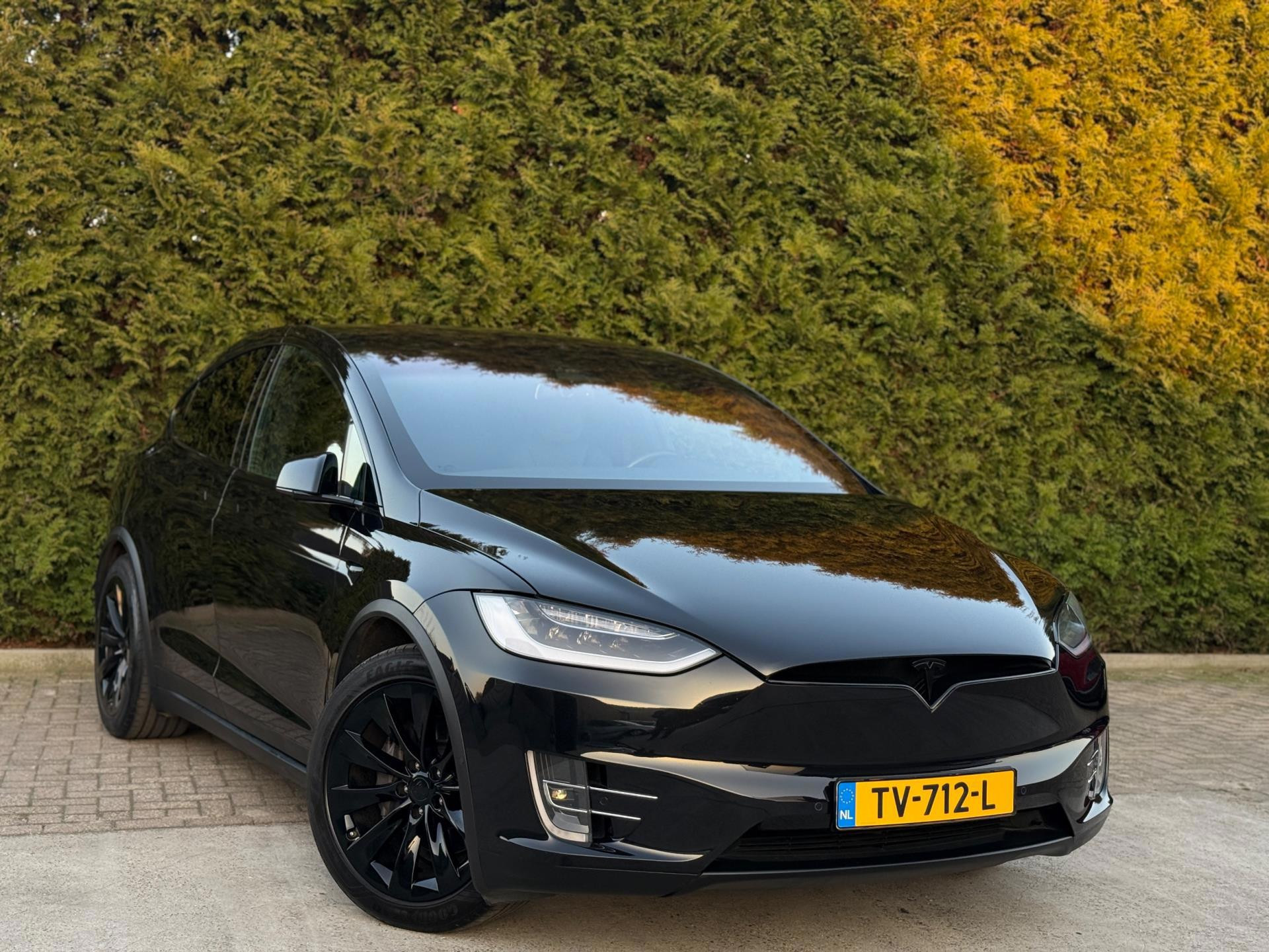 Hoofdafbeelding Tesla Model X