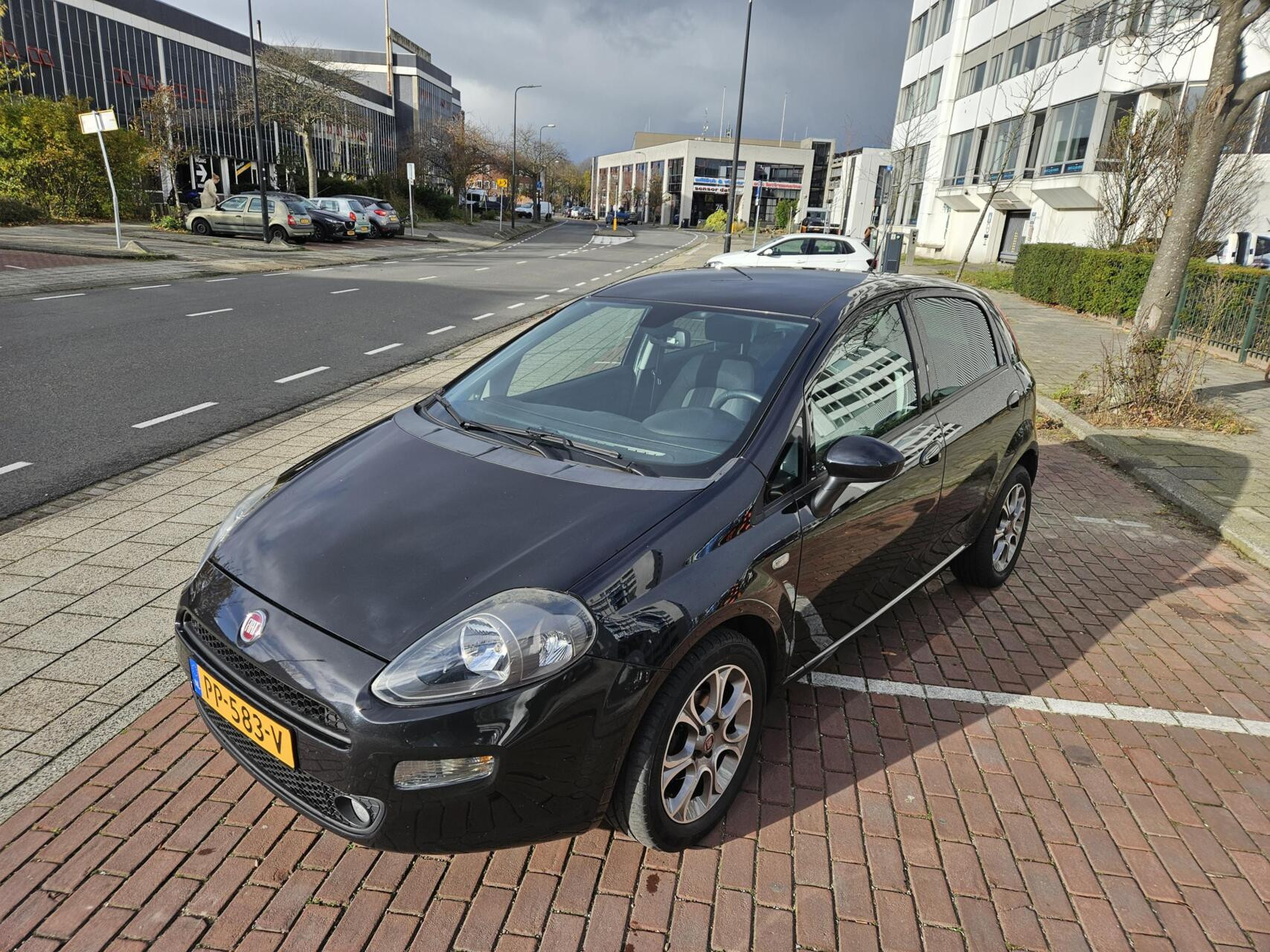 Hoofdafbeelding Fiat Punto