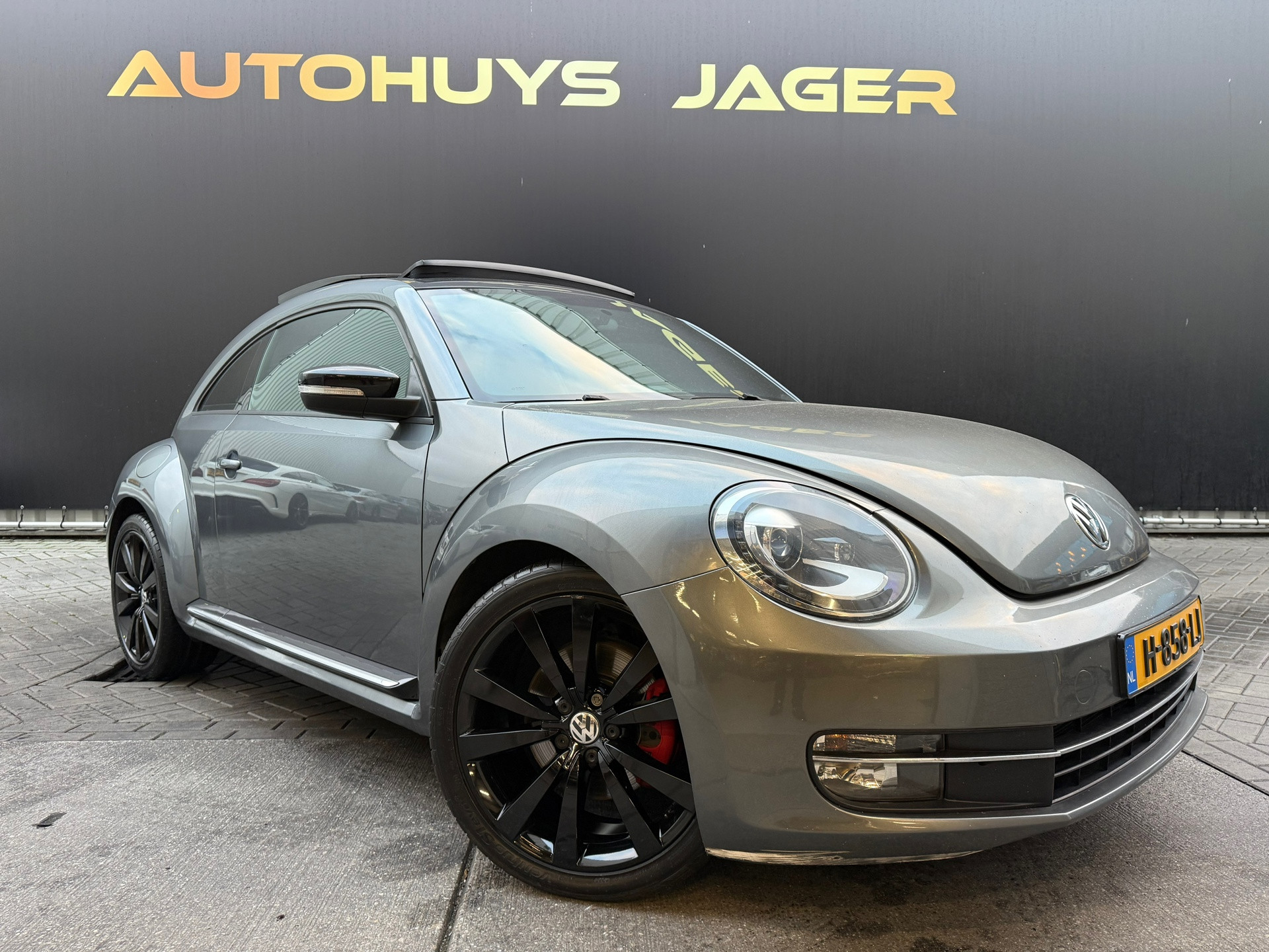 Hoofdafbeelding Volkswagen Beetle