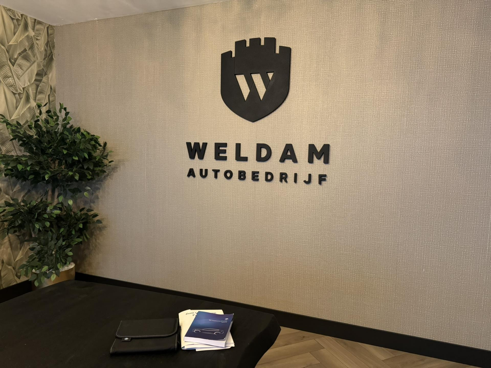 Hoofdafbeelding BMW X2