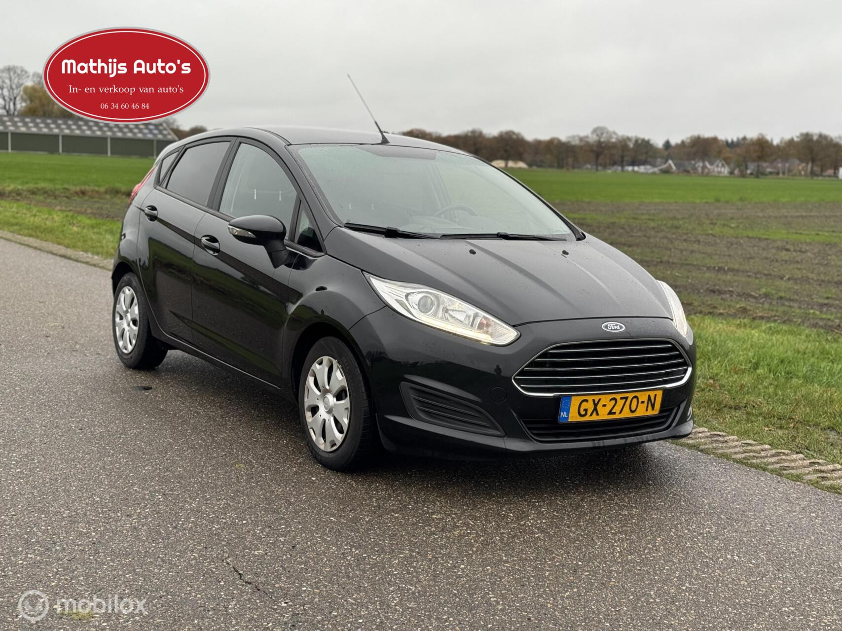 Hoofdafbeelding Ford Fiesta