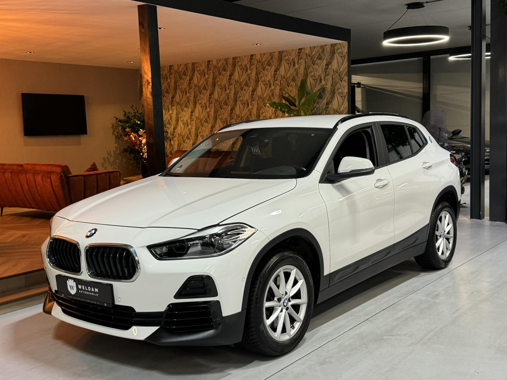 Hoofdafbeelding BMW X2