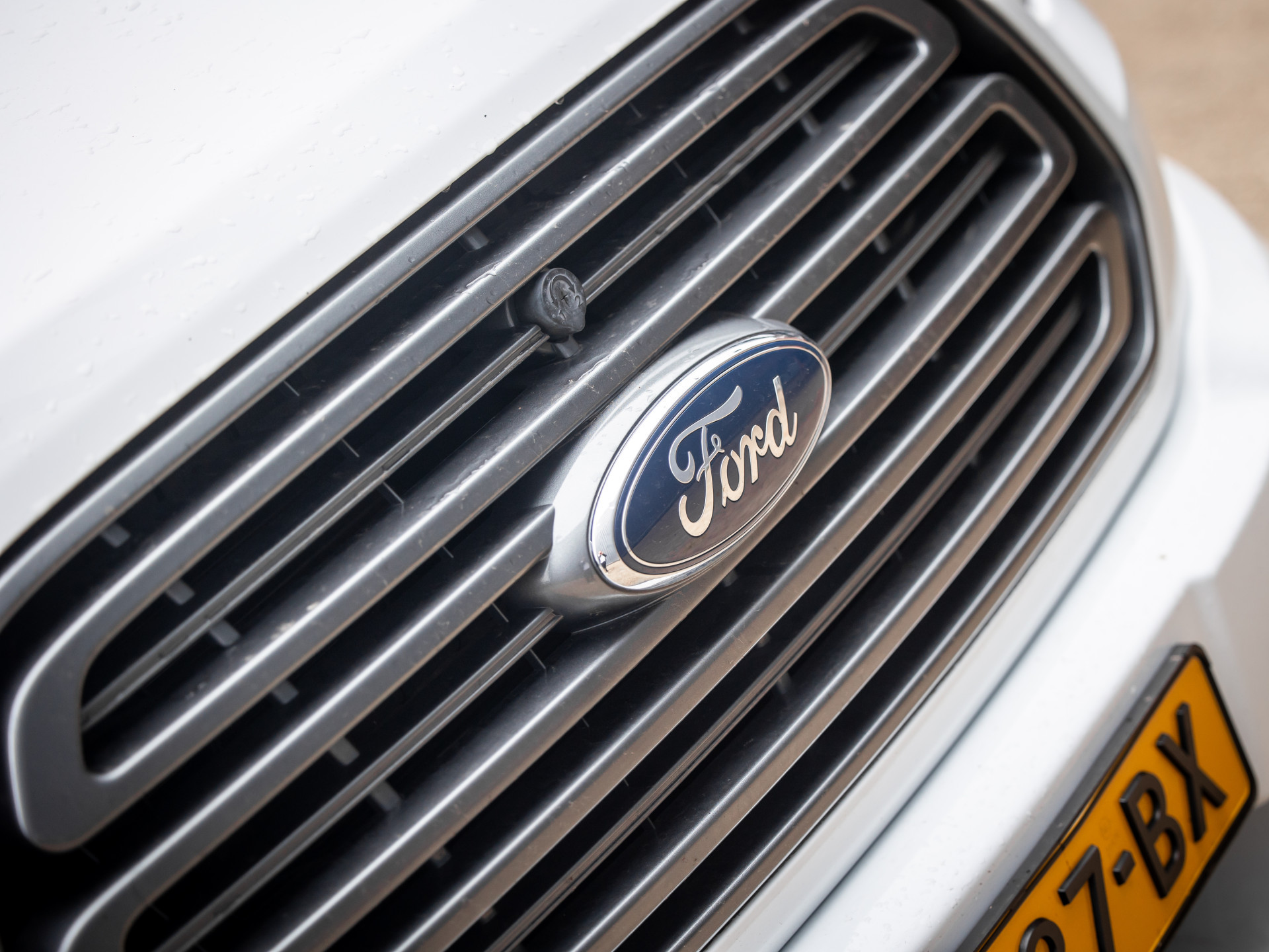 Hoofdafbeelding Benimar TESSORO 463