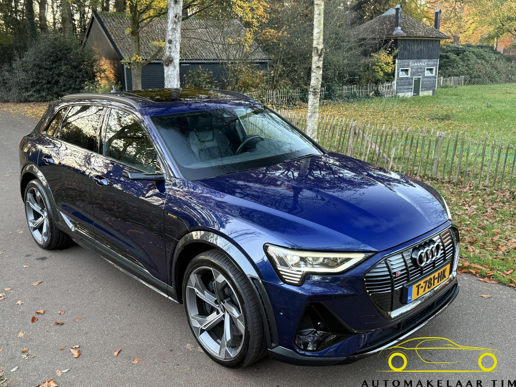 Hoofdafbeelding Audi e-tron