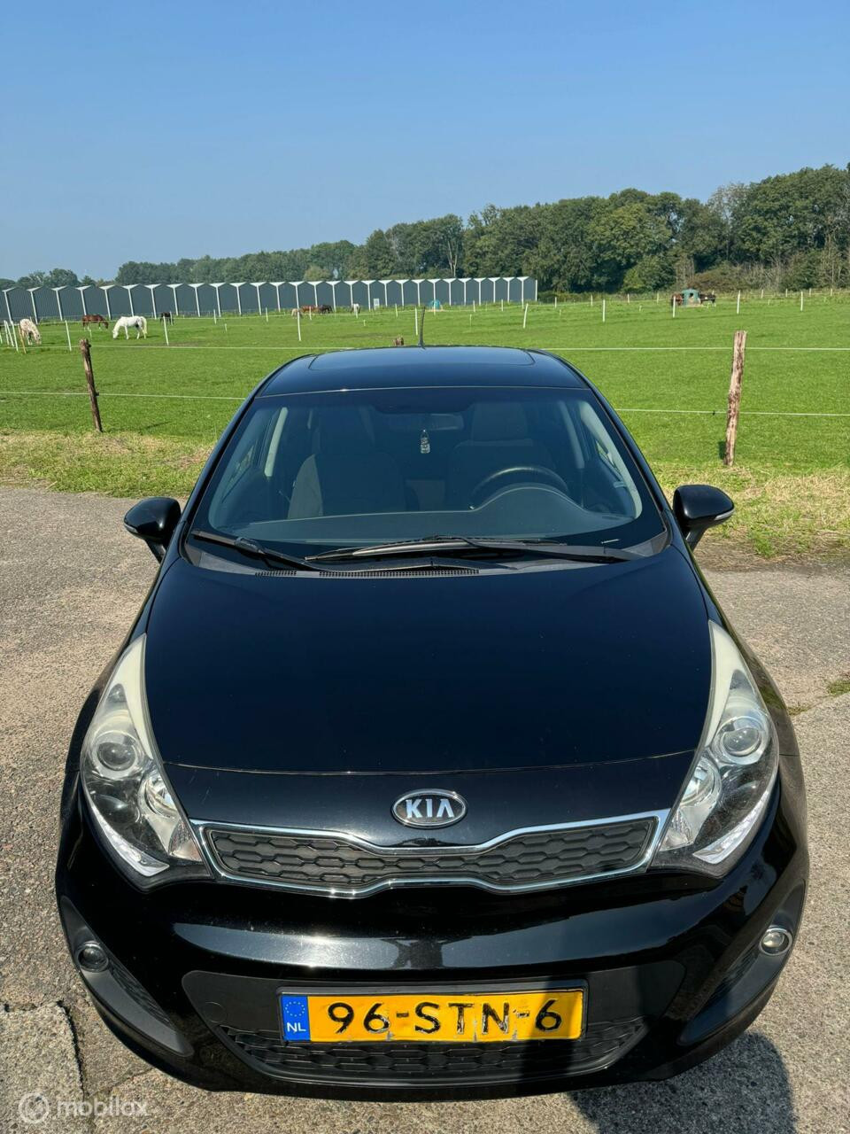 Hoofdafbeelding Kia Rio