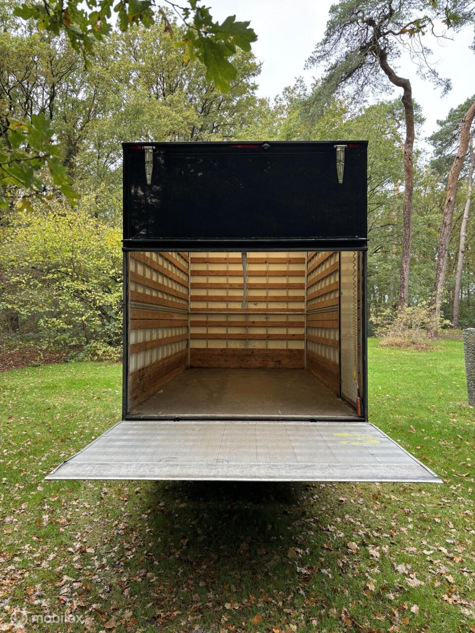 Hoofdafbeelding Renault Maxity