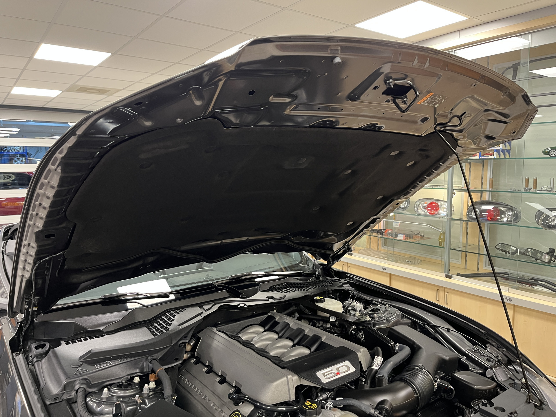 Hoofdafbeelding Ford Mustang