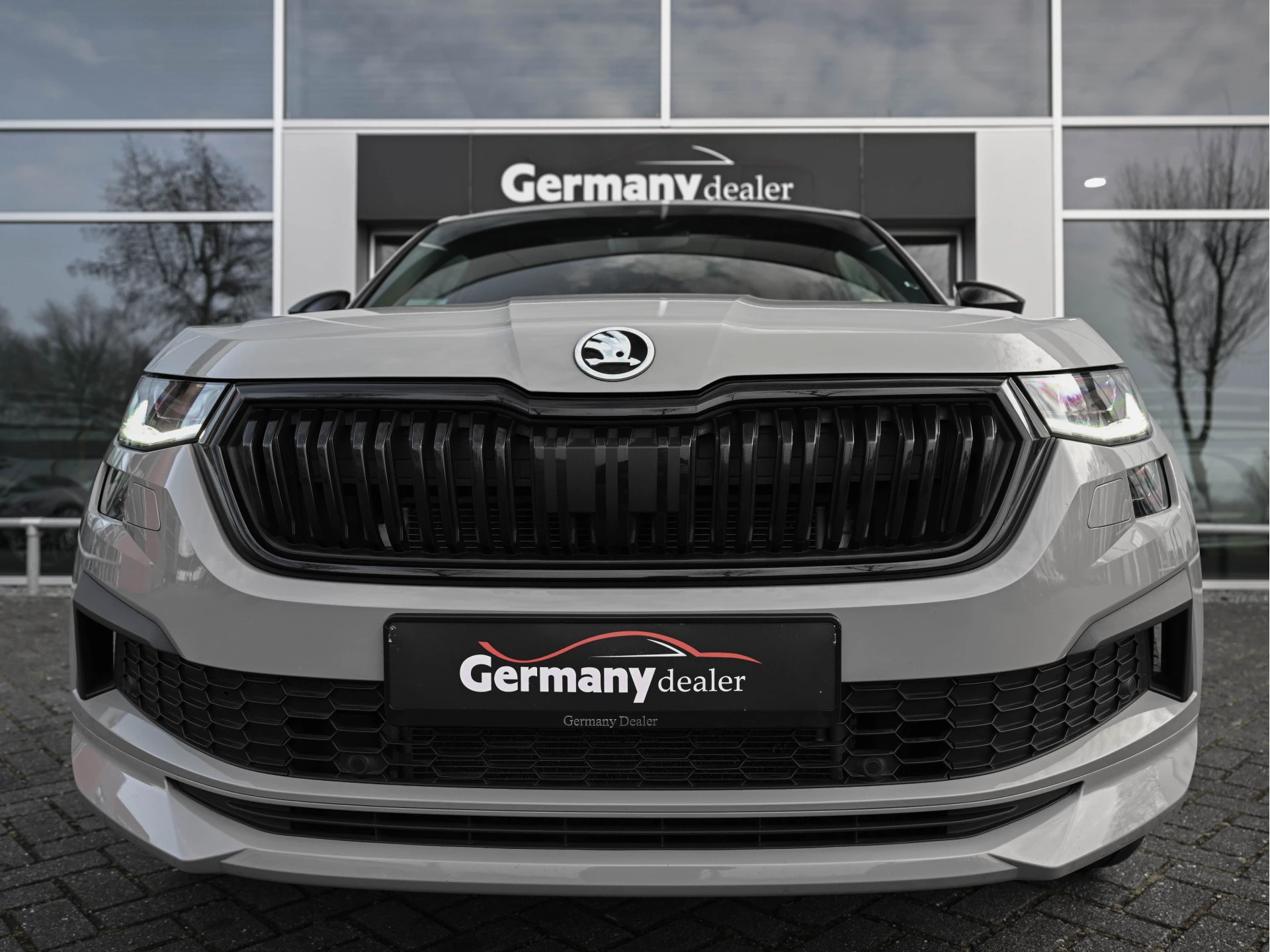 Hoofdafbeelding Škoda Kodiaq