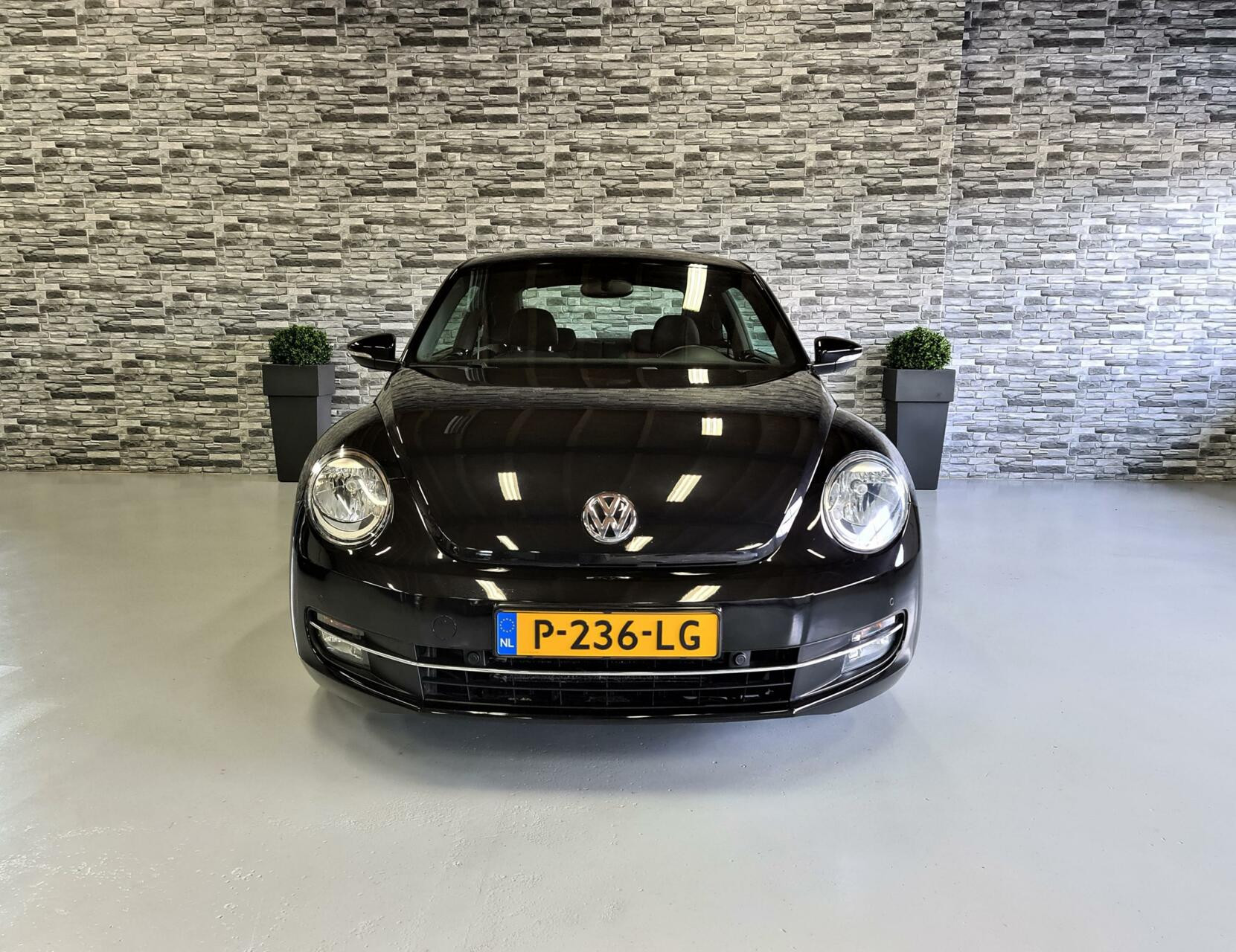 Hoofdafbeelding Volkswagen Beetle