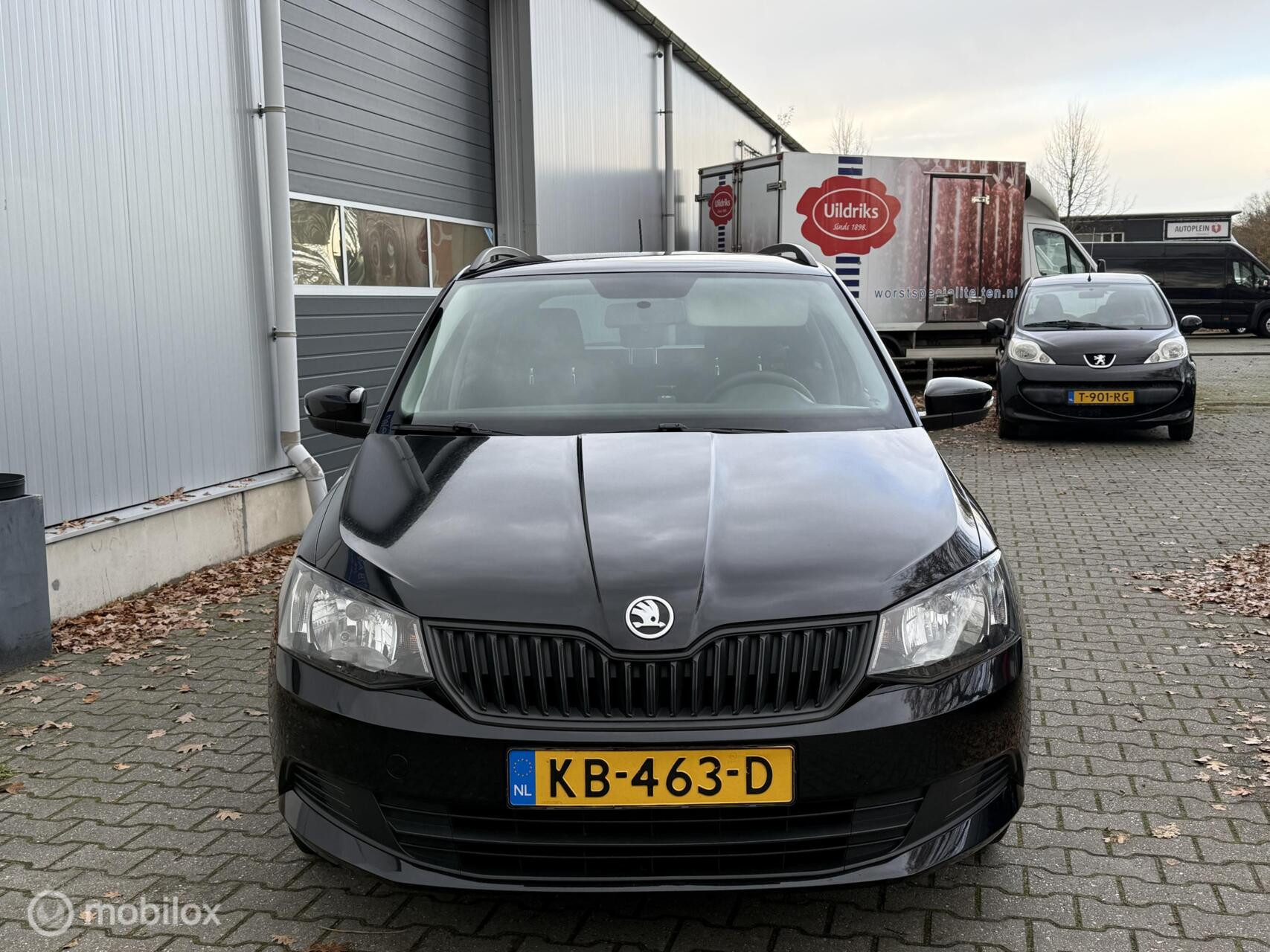 Hoofdafbeelding Škoda Fabia