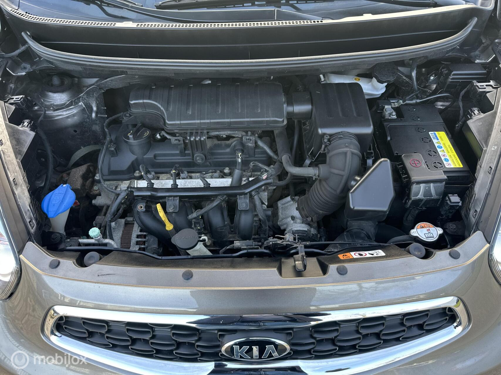 Hoofdafbeelding Kia Picanto