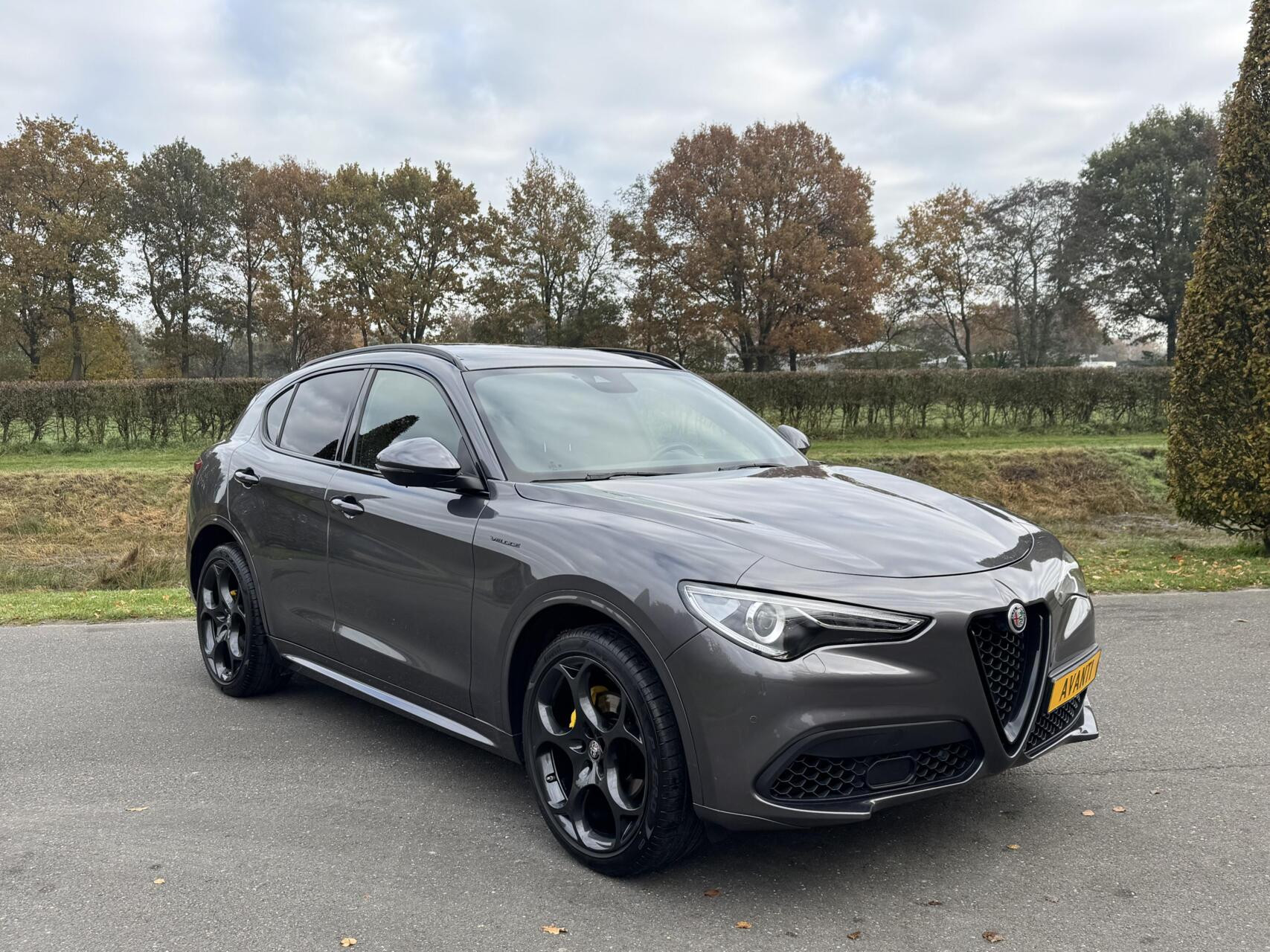 Hoofdafbeelding Alfa Romeo Stelvio