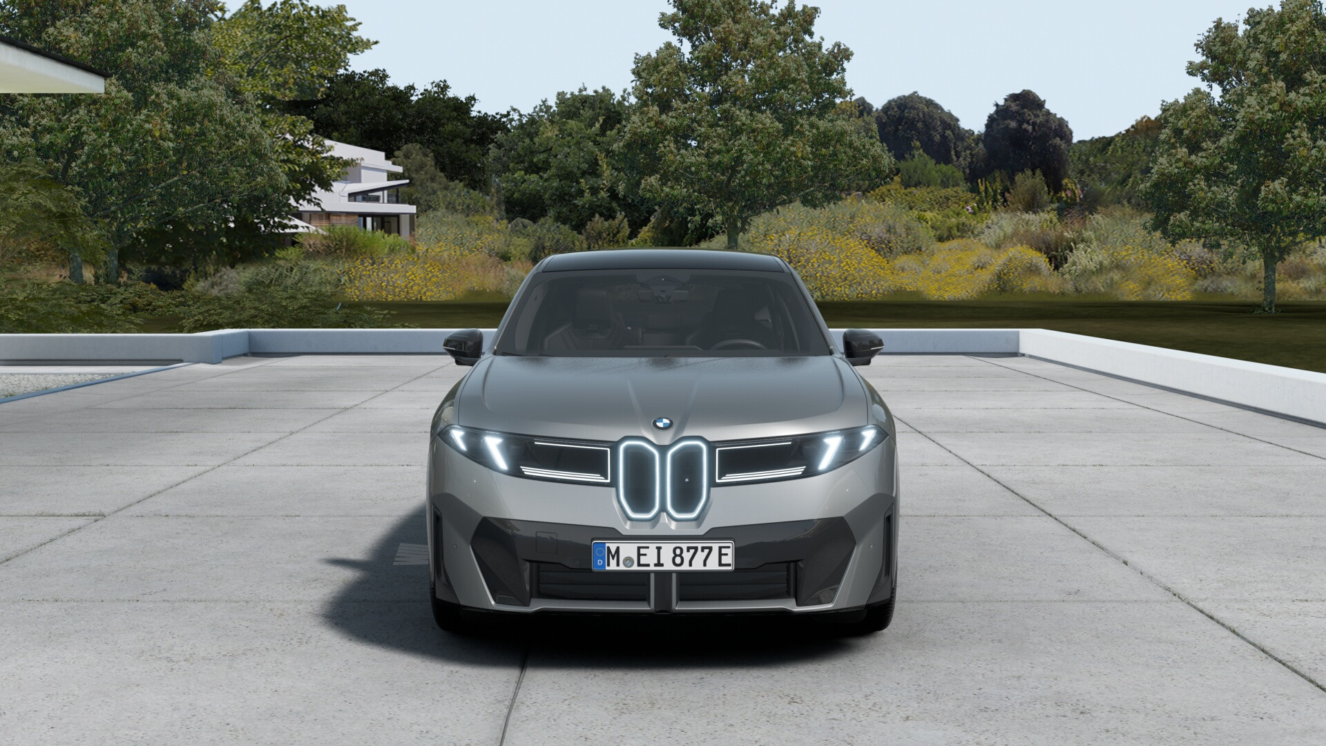 Hoofdafbeelding BMW iX3