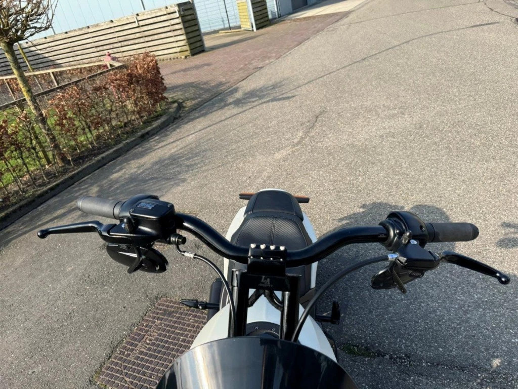 Hoofdafbeelding Harley-Davidson Softail