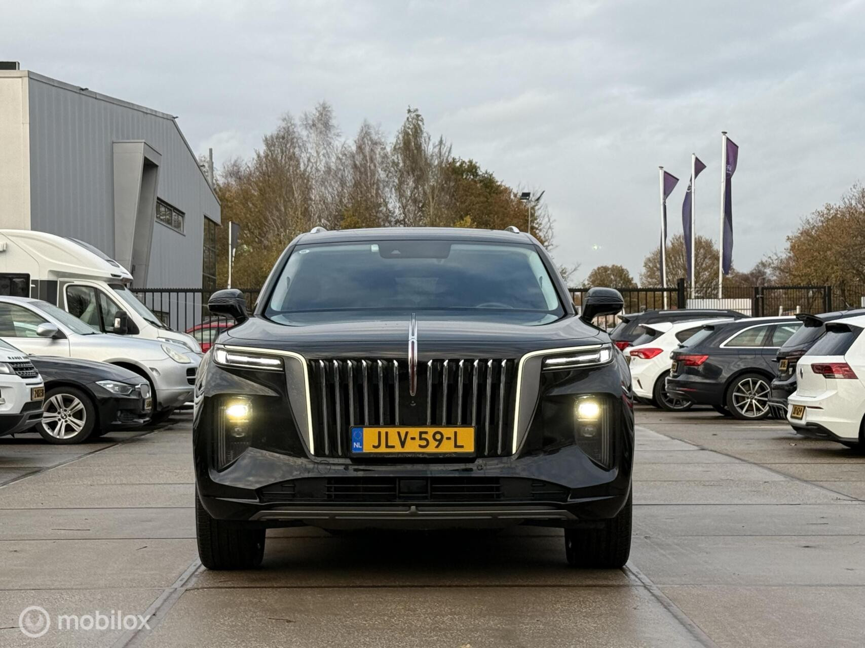 Hoofdafbeelding Hongqi E-HS9