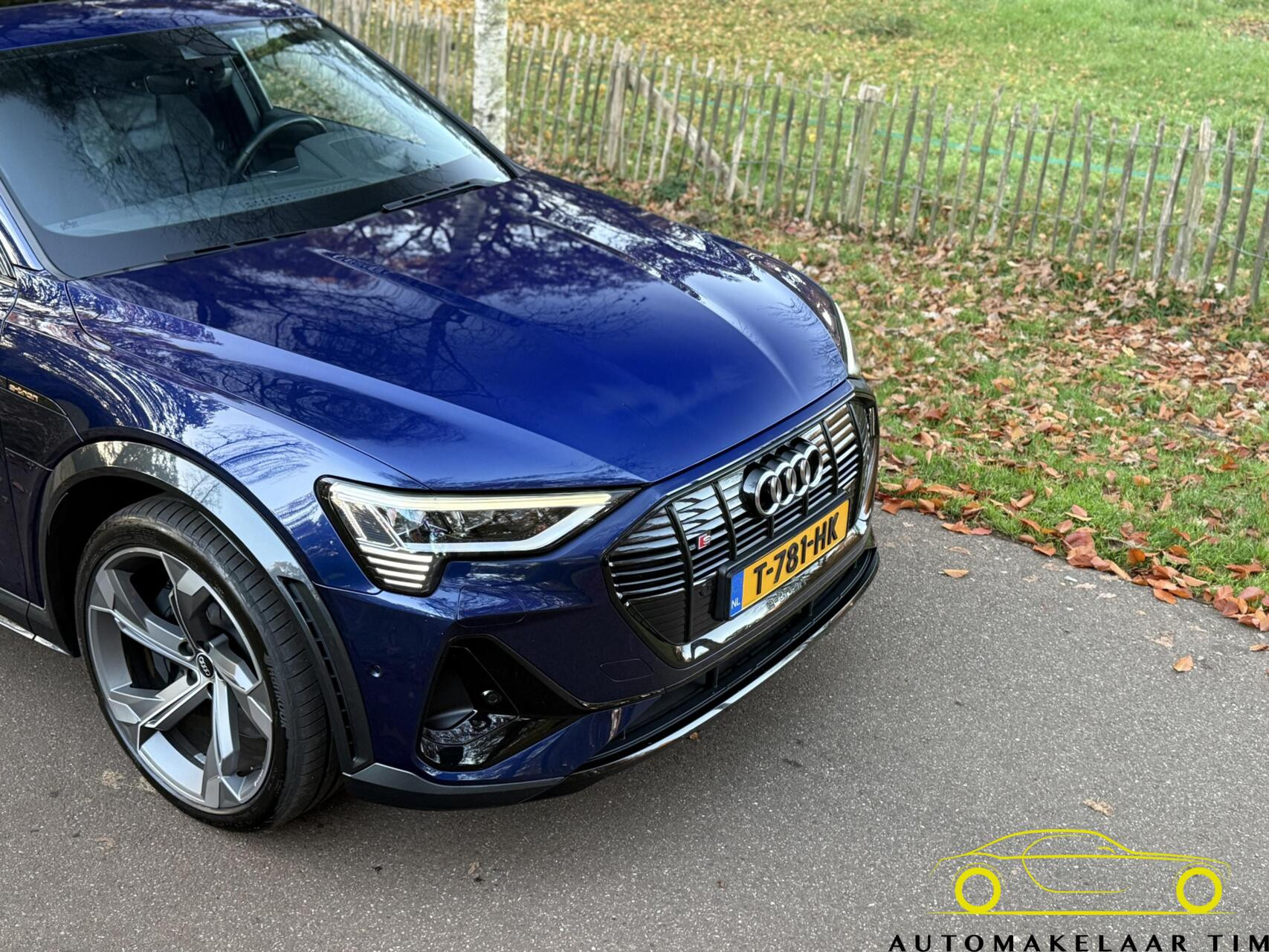 Hoofdafbeelding Audi e-tron