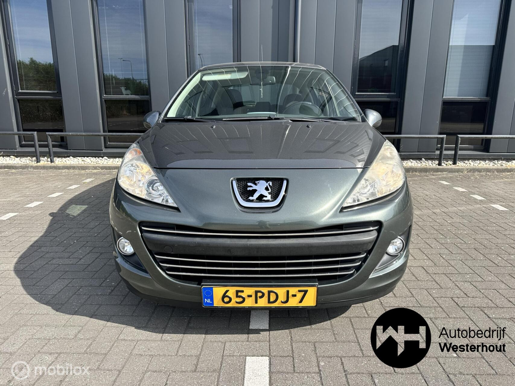 Hoofdafbeelding Peugeot 207