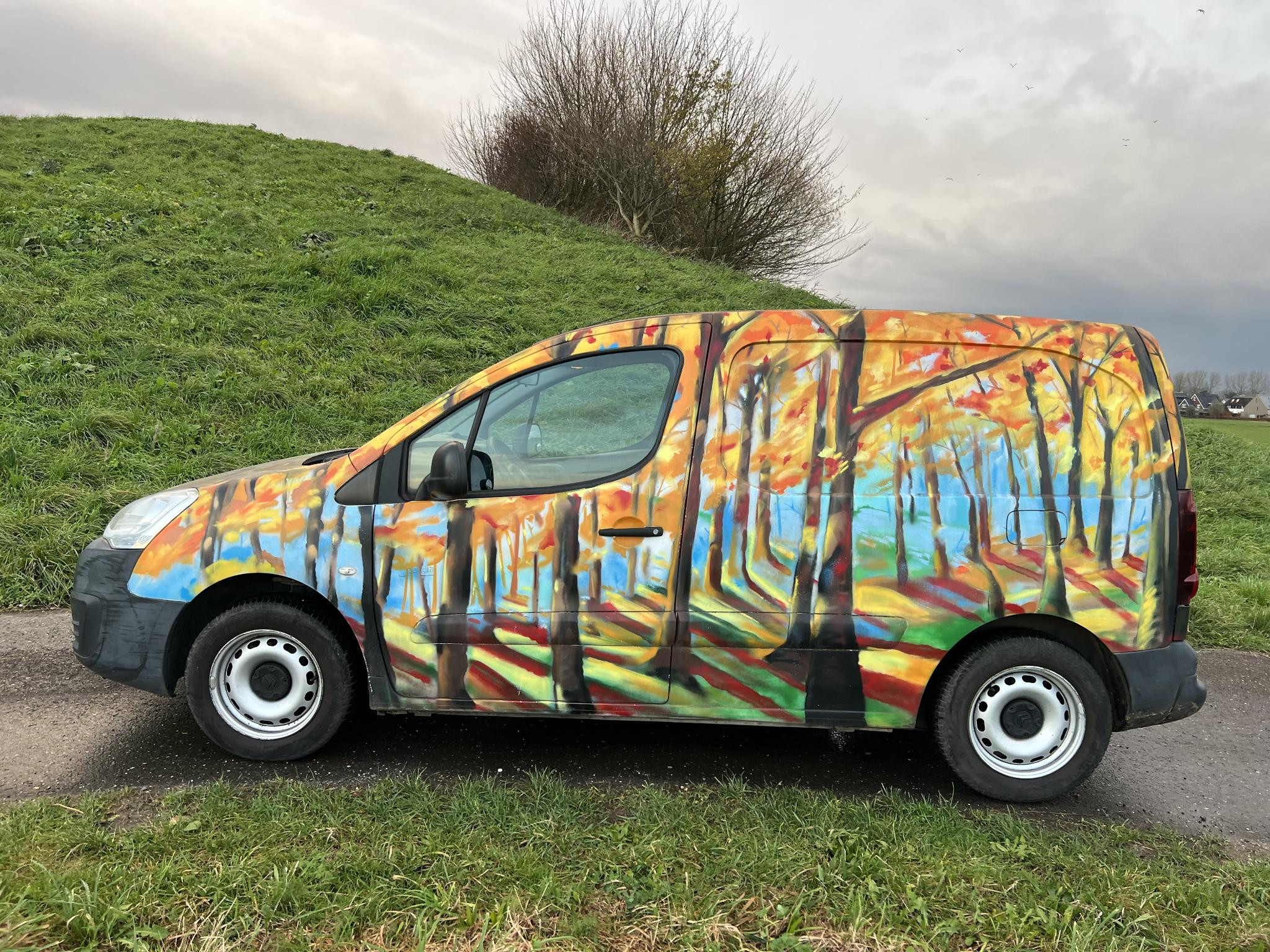 Hoofdafbeelding Citroën Berlingo