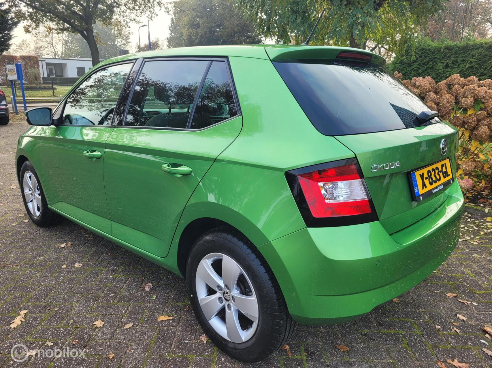 Hoofdafbeelding Škoda Fabia