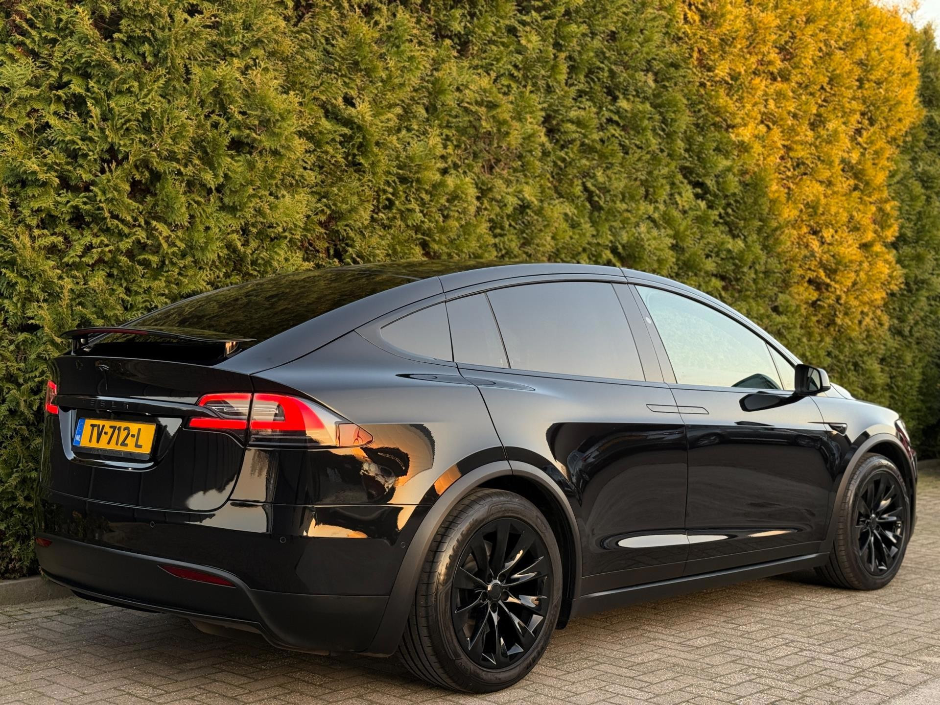 Hoofdafbeelding Tesla Model X