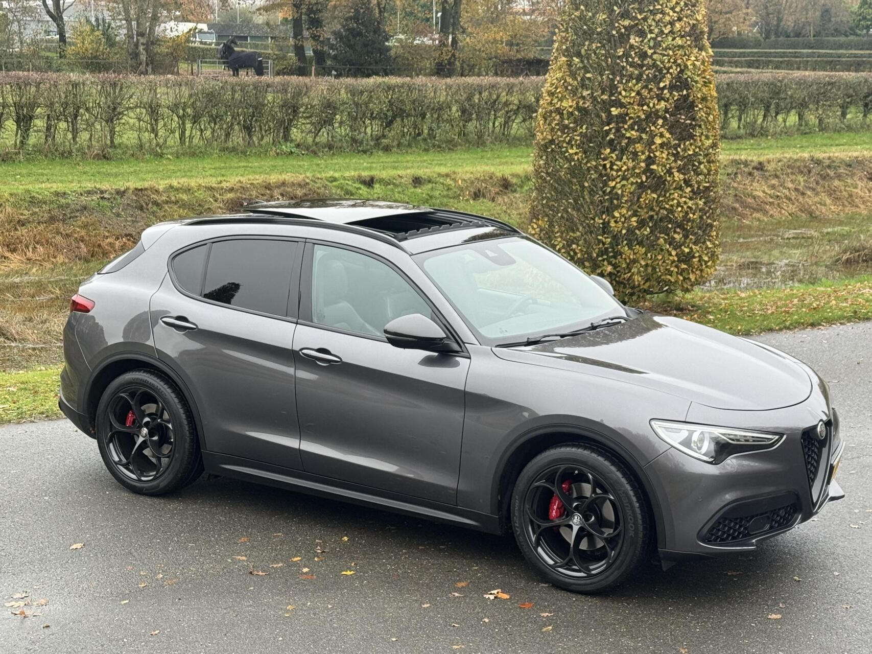 Hoofdafbeelding Alfa Romeo Stelvio