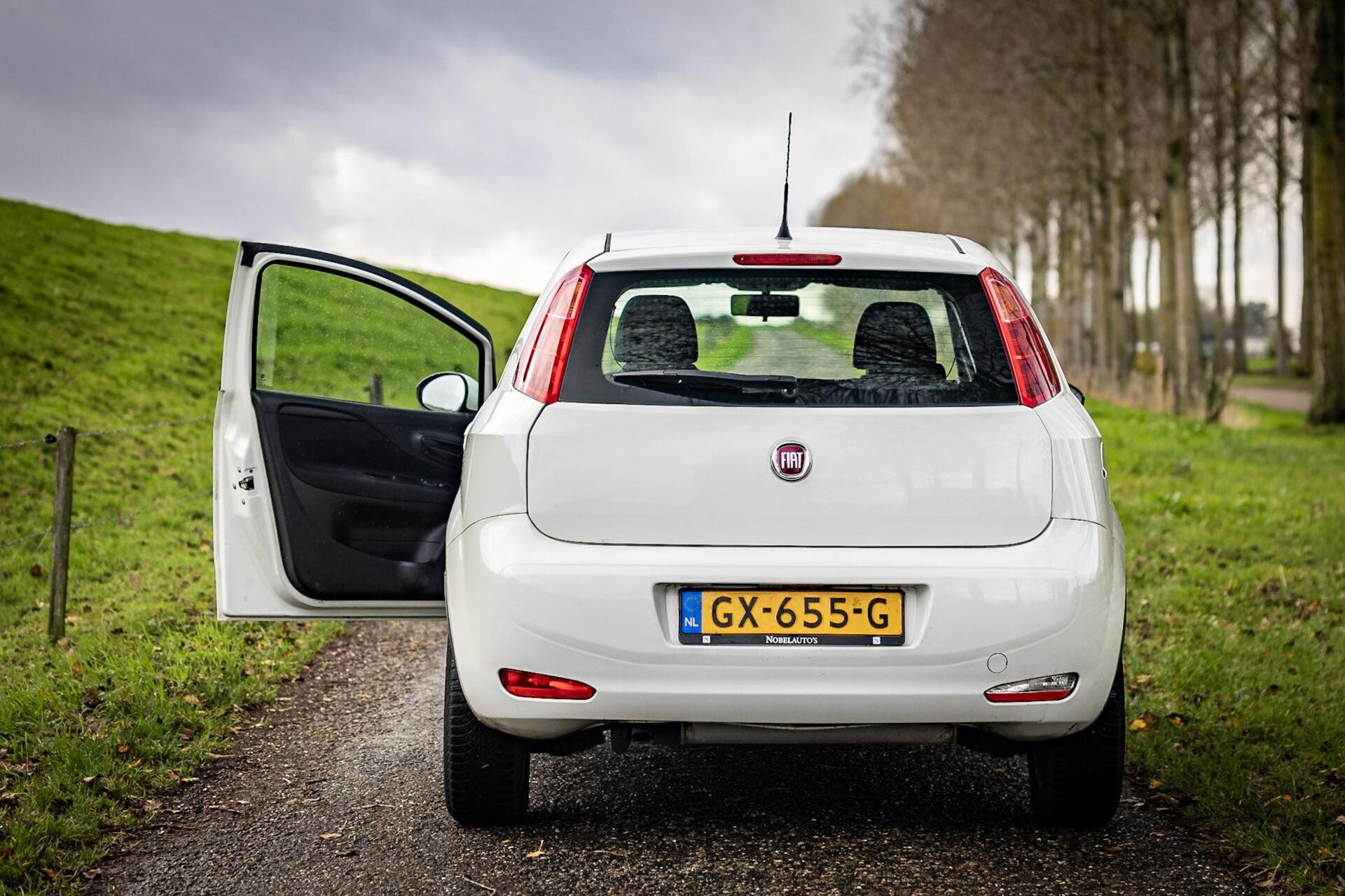 Hoofdafbeelding Fiat Punto