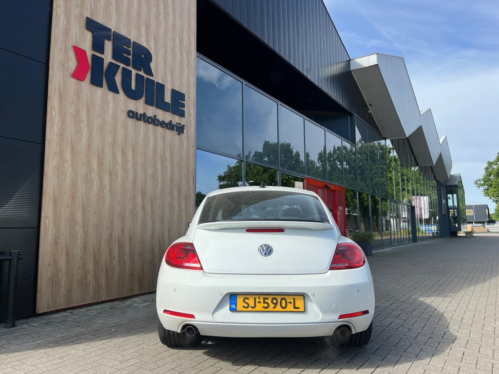 Hoofdafbeelding Volkswagen Beetle