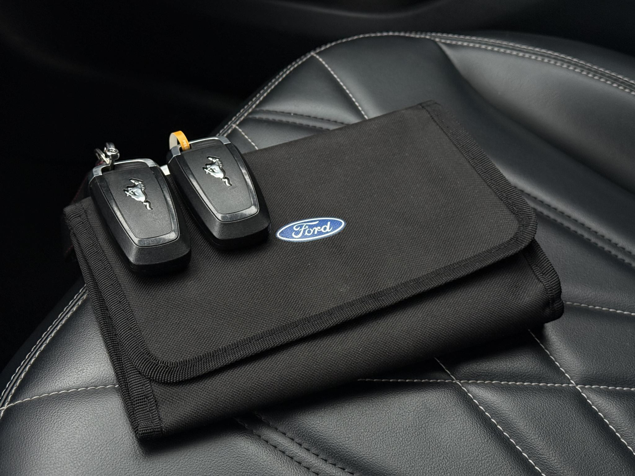 Hoofdafbeelding Ford Mustang Mach-E