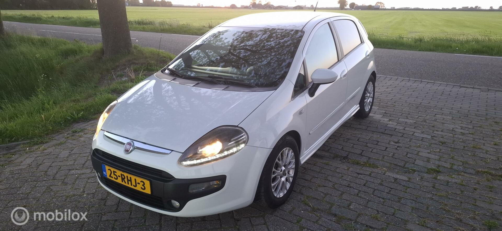 Hoofdafbeelding Fiat Punto