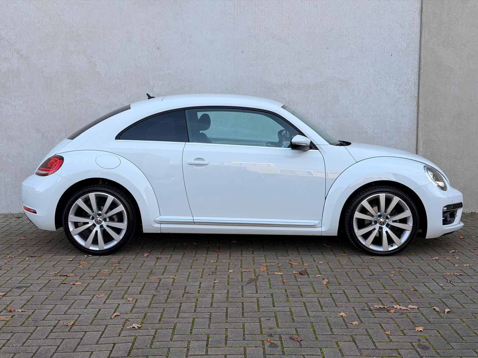 Hoofdafbeelding Volkswagen Beetle