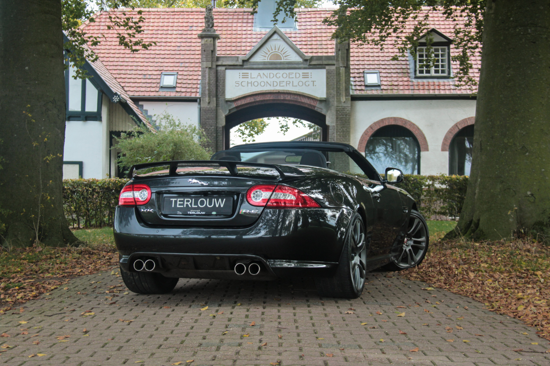 Hoofdafbeelding Jaguar XK